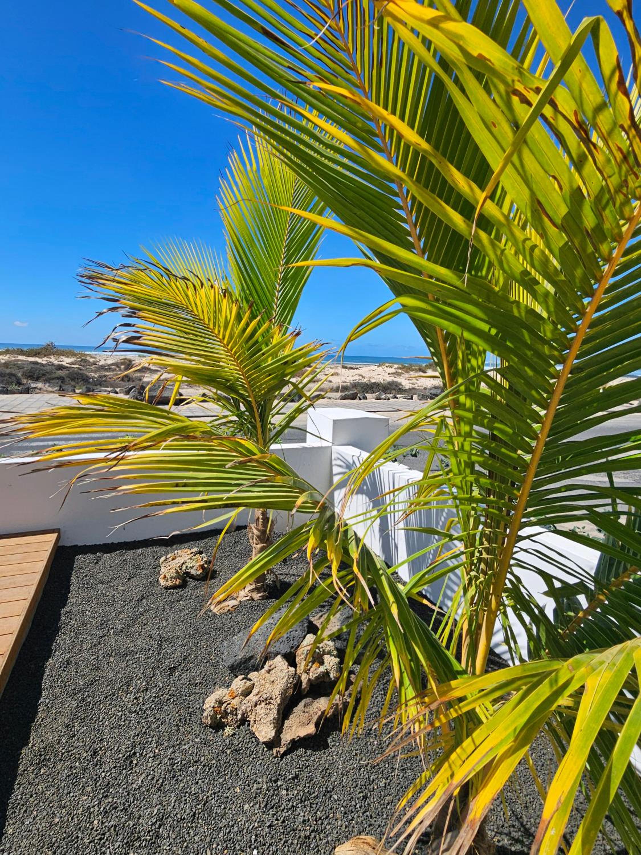 MAAR Suites Cotillo