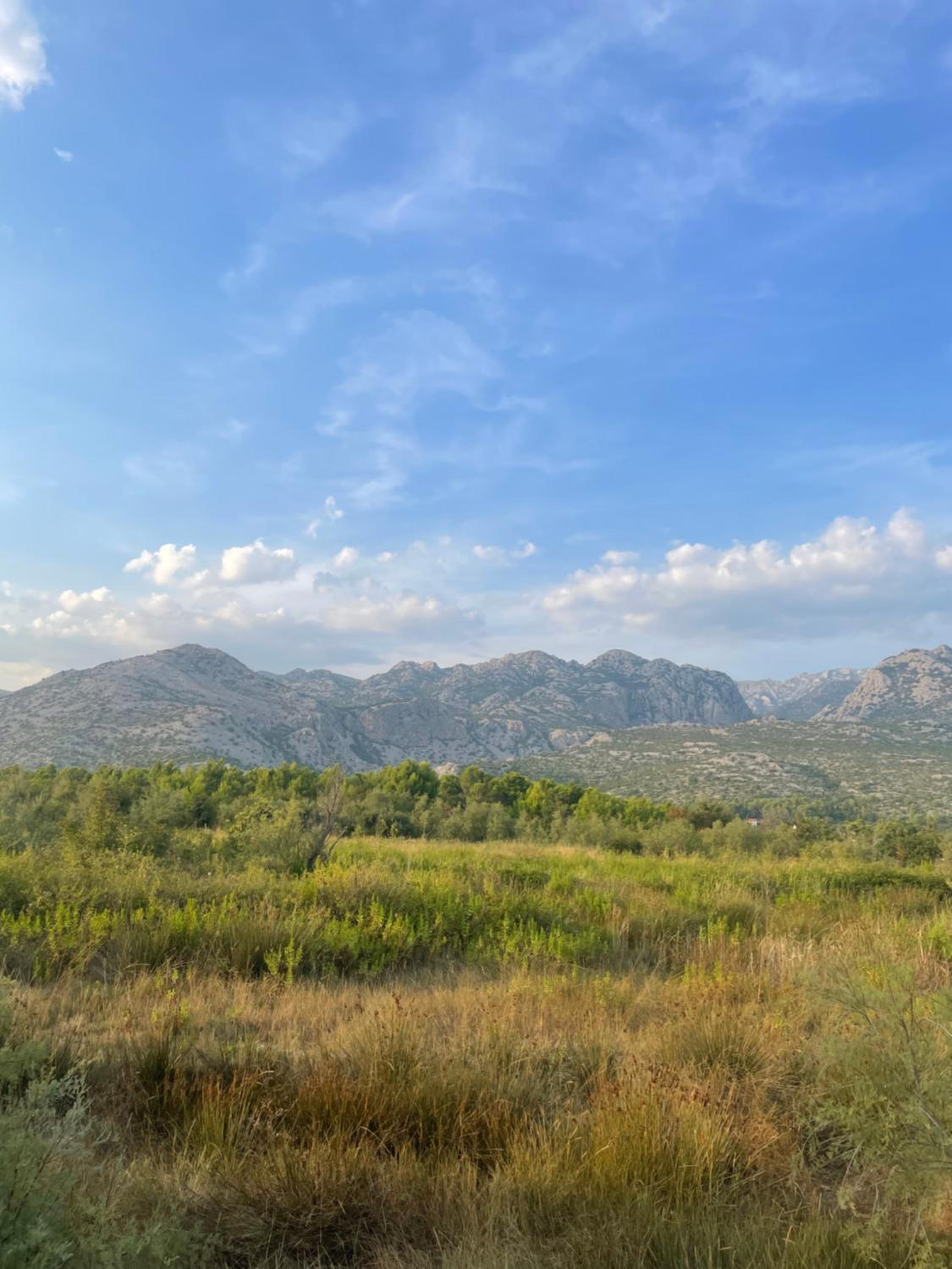 Bajic Apartmani