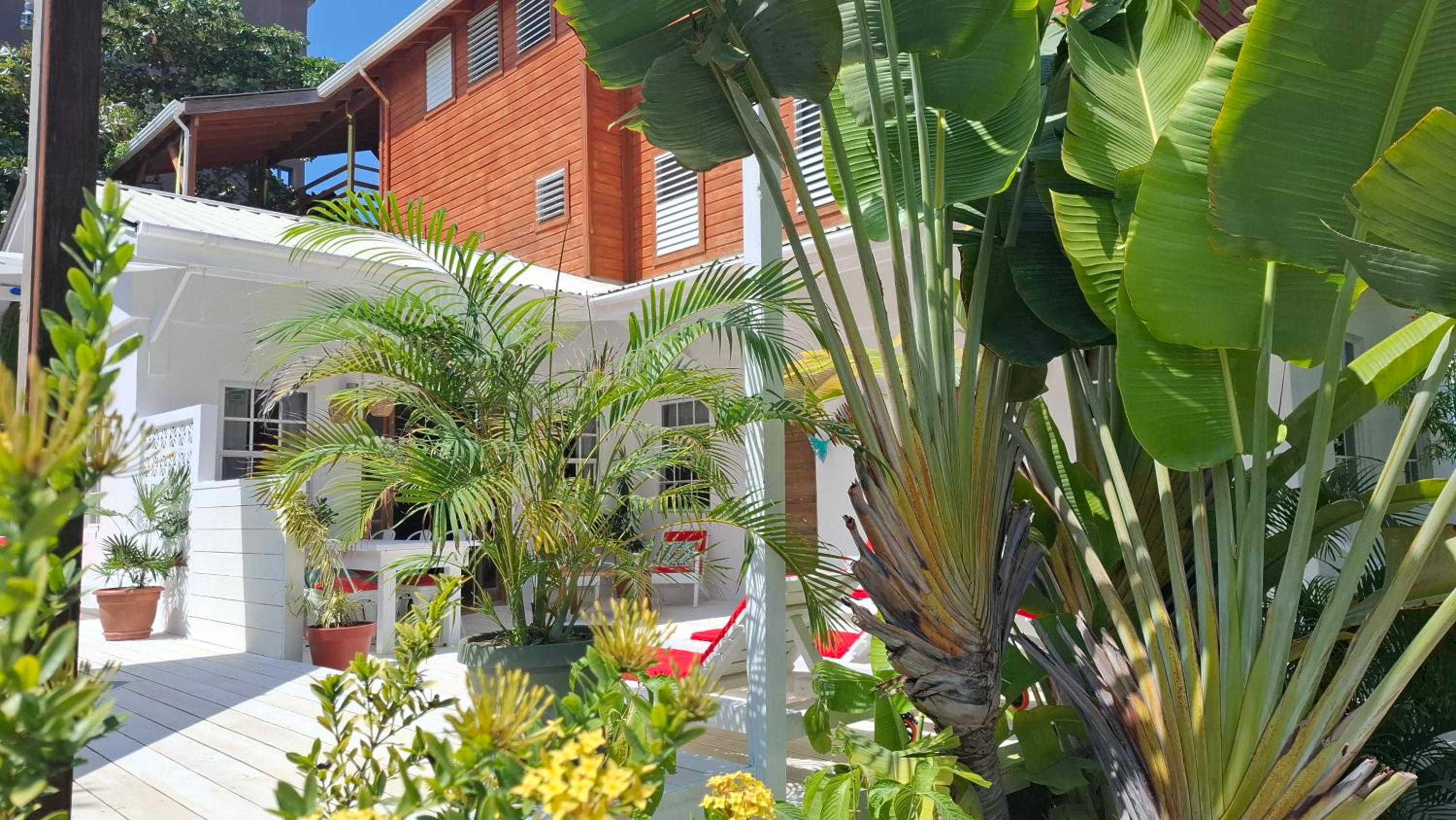 Amanda's Place Casita Carinosa - pool and tropical garden