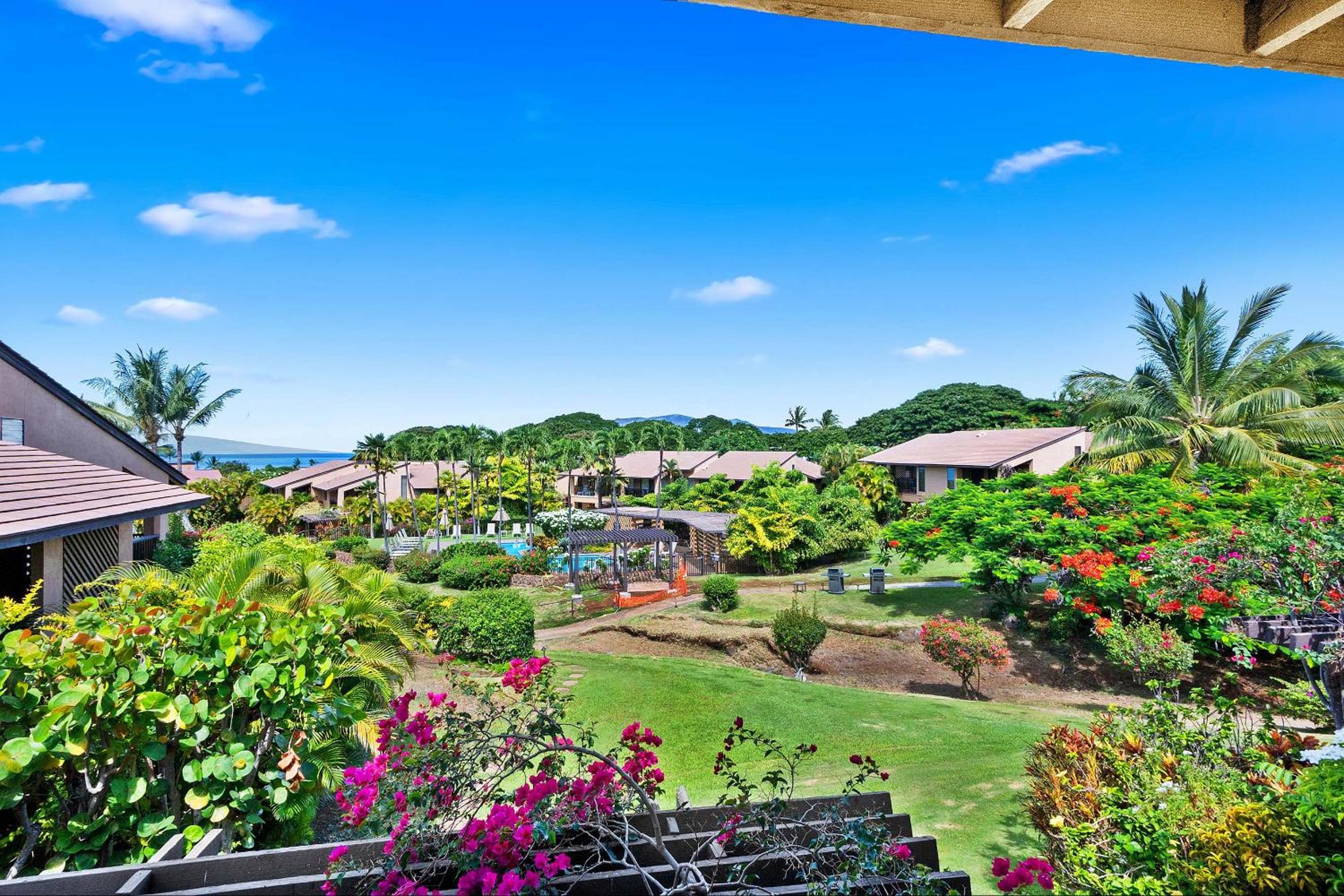 Photo 52