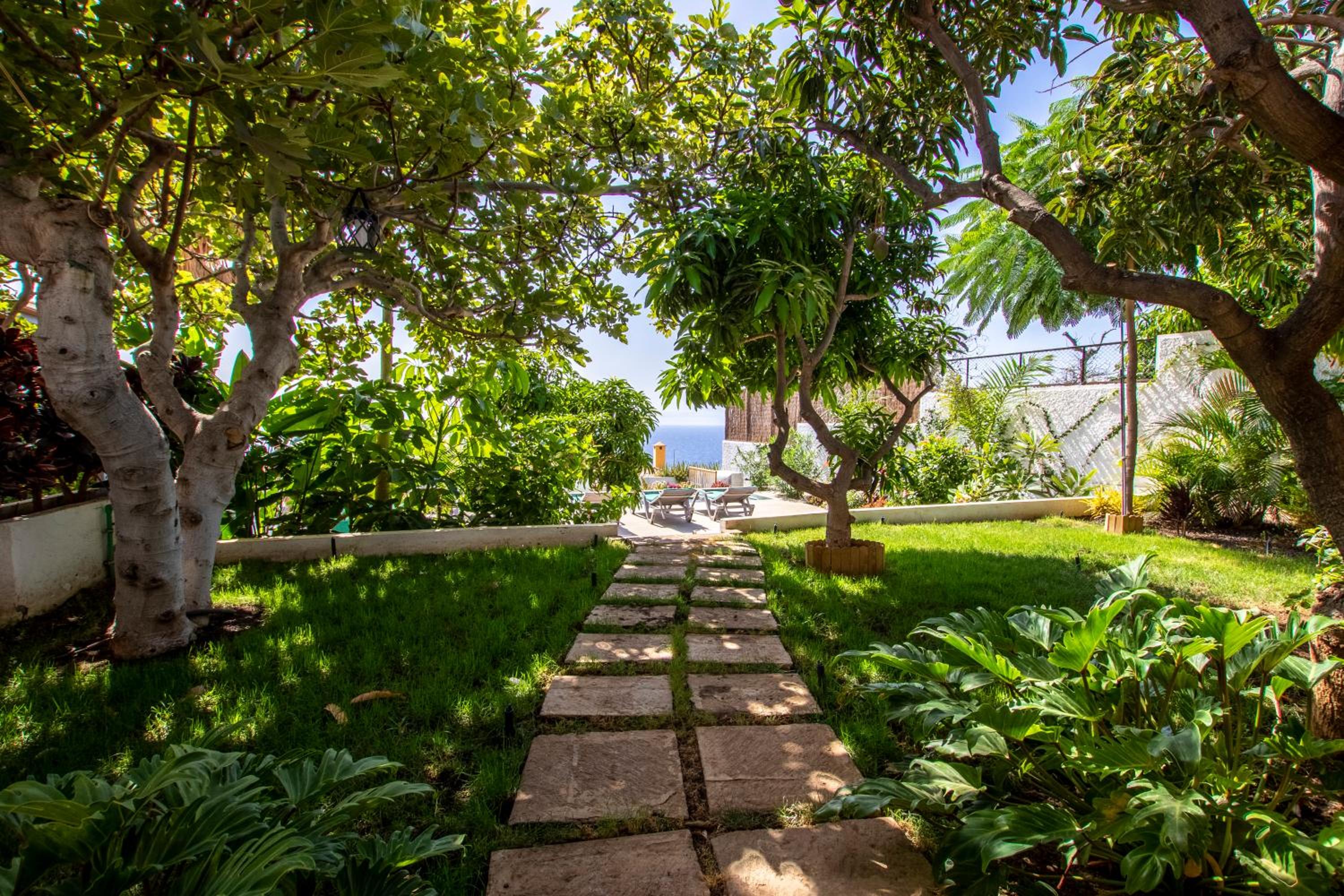 The Mango House