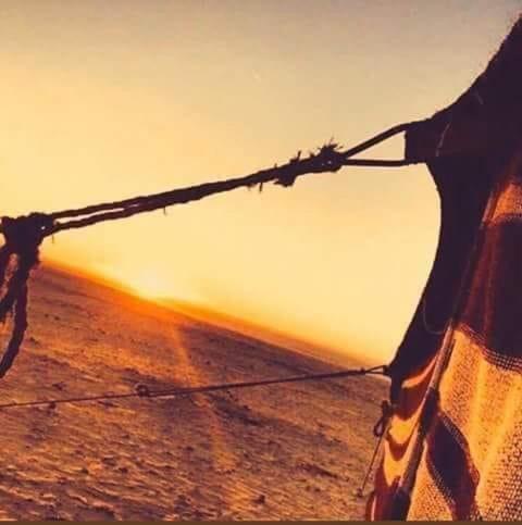 Manar Bubbel Luxury Camp