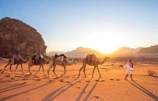 Manar Bubbel Luxury Camp