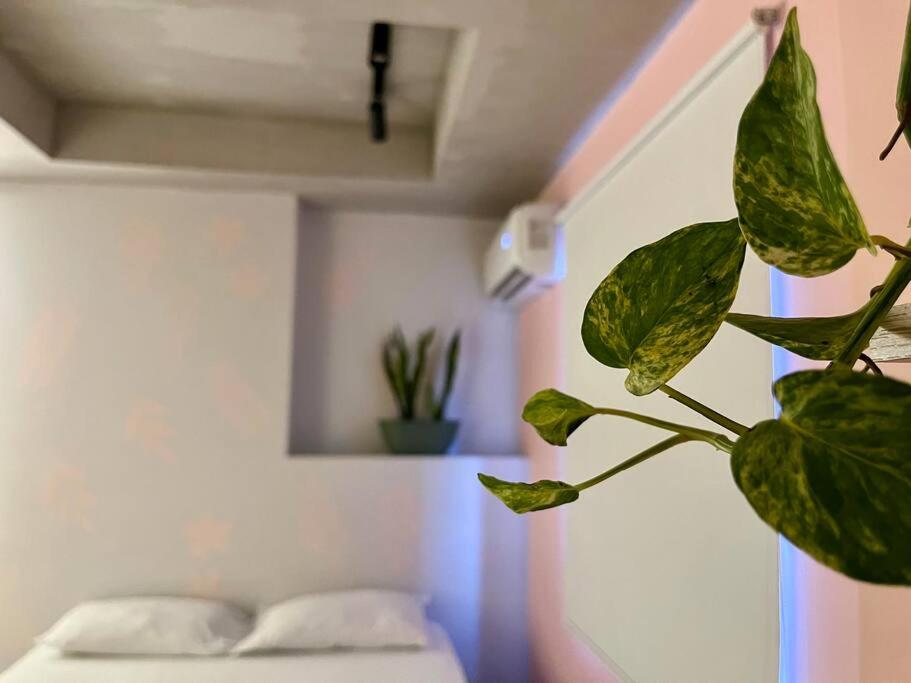 Cozy Studio Near Centro