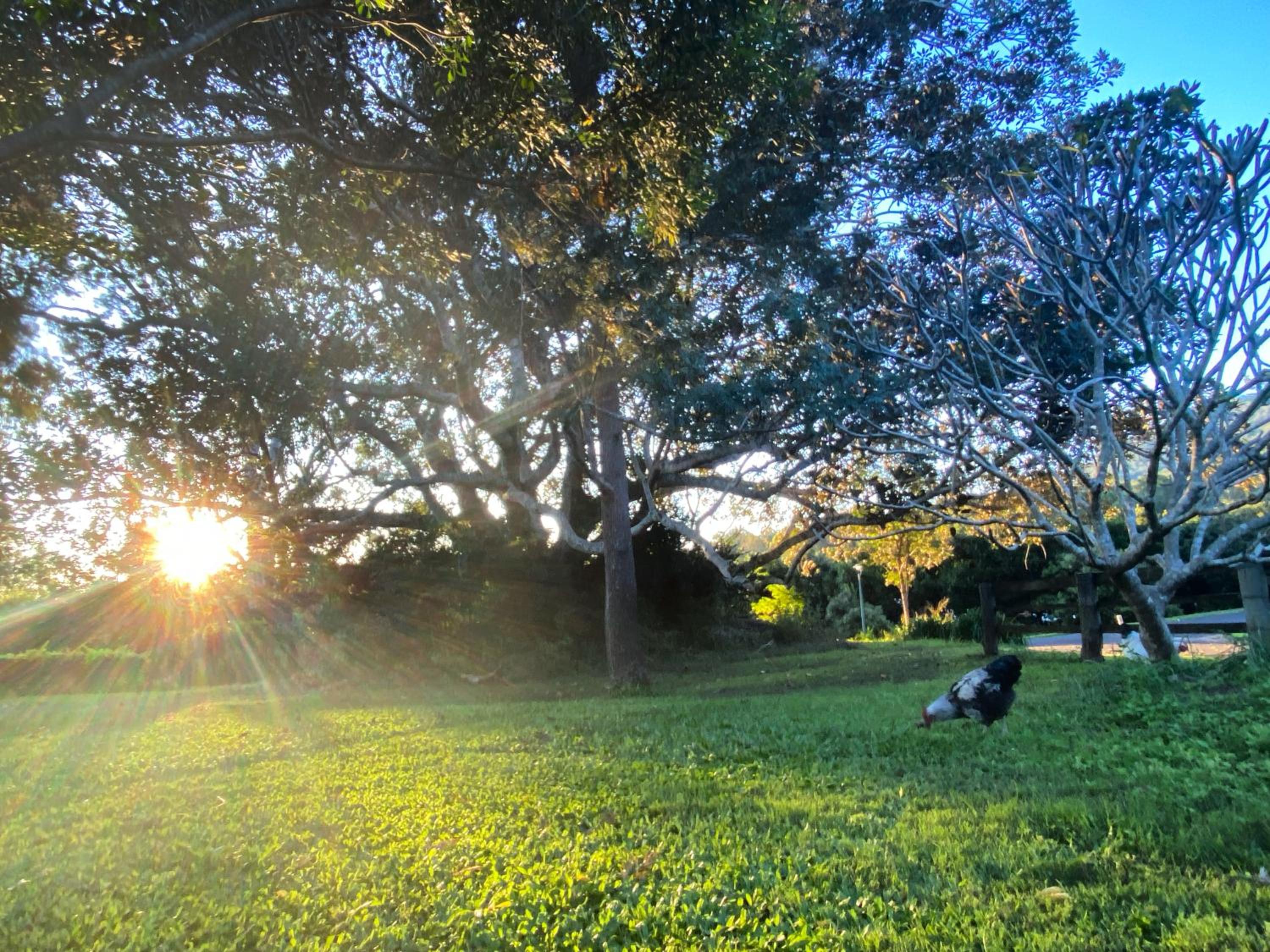 Crystal Cottage Retreat- Escape to the Hinterland!