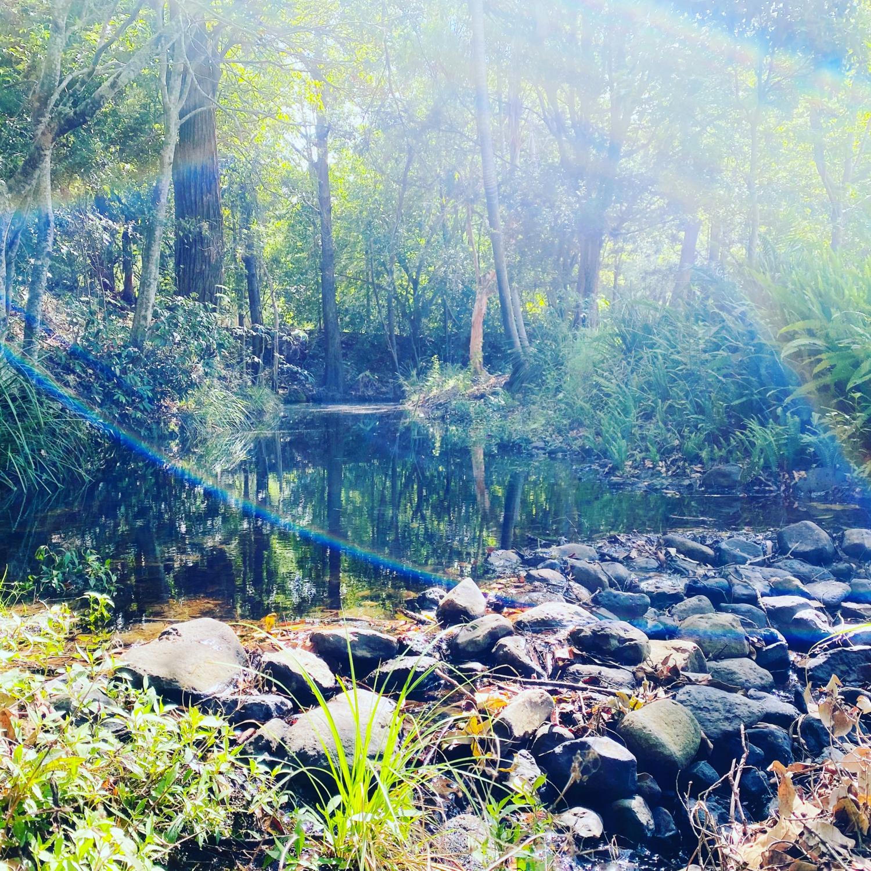 Crystal Cottage Retreat- Escape to the Hinterland!