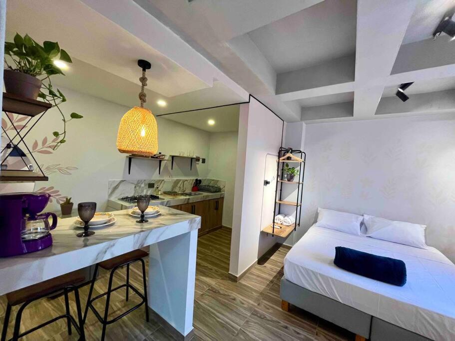Unique studio with balcony near old town