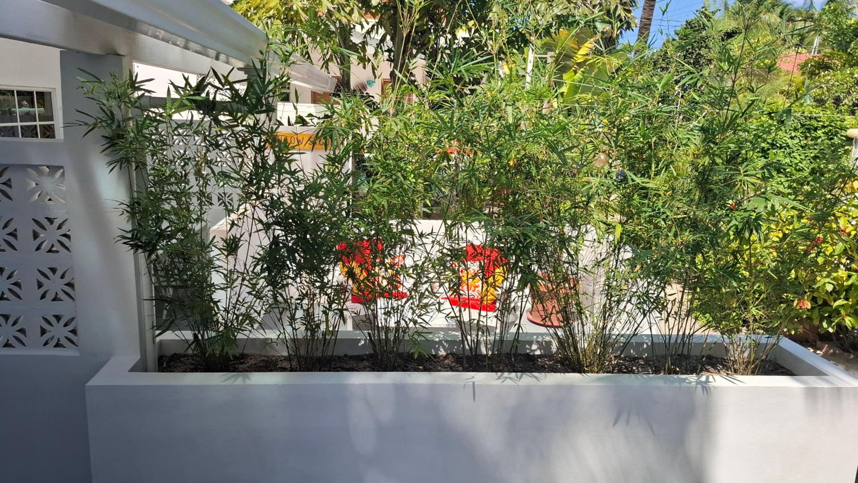 Amanda's Place Yellow Studio - Pool and Tropical garden