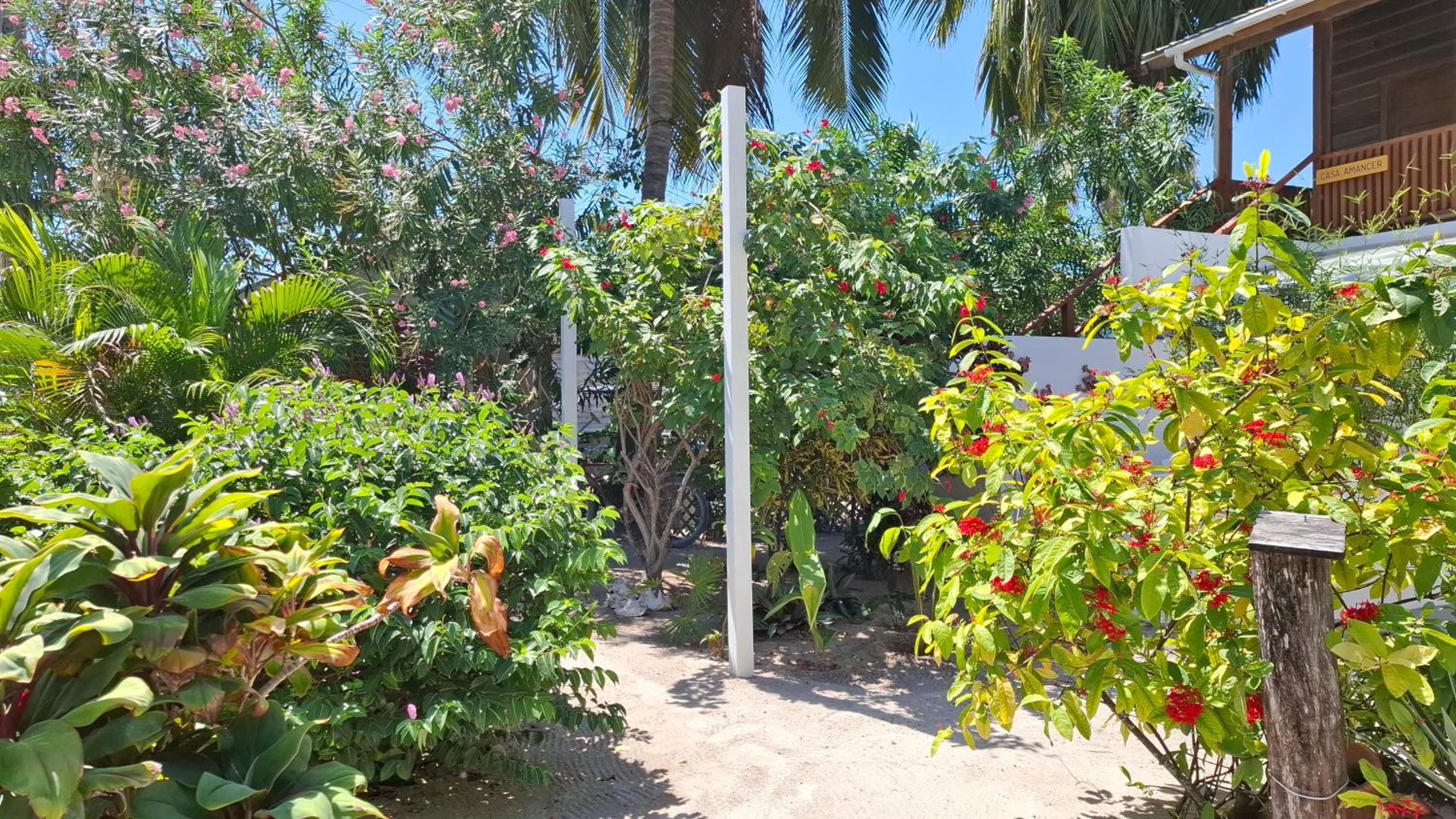 Amanda's Place Yellow Studio - Pool and Tropical garden