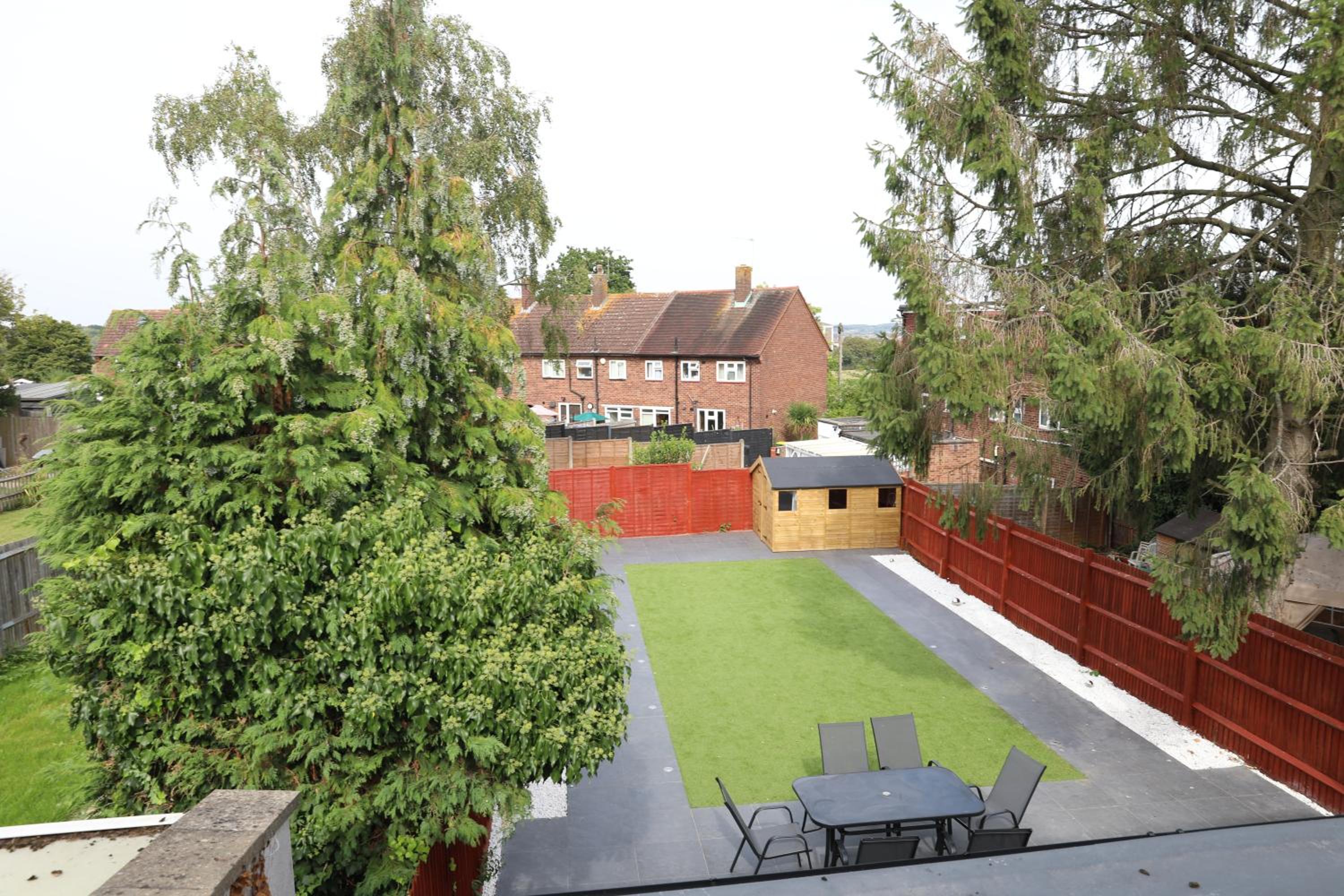 Vienna Orpington
