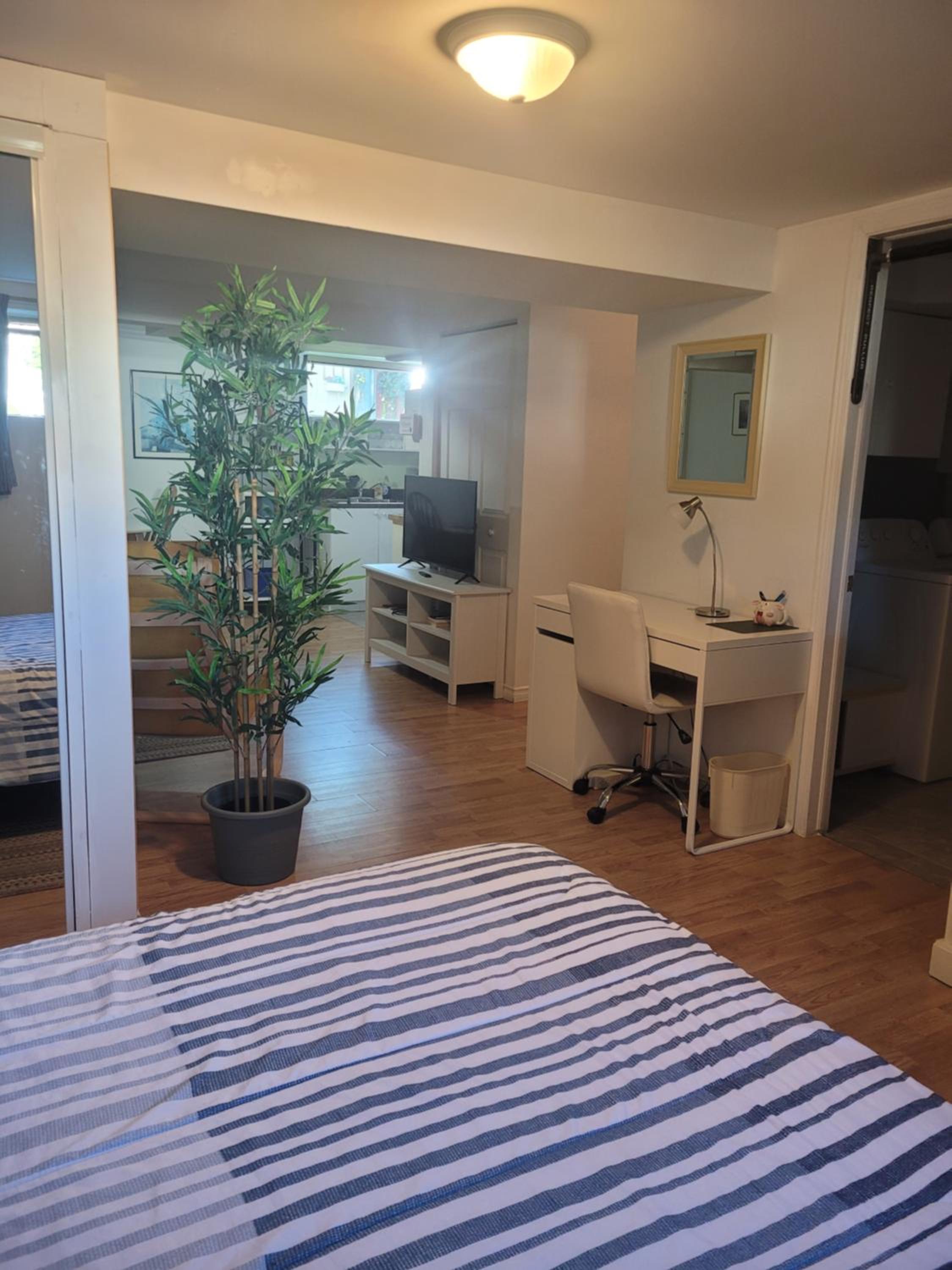 L ' Arlequin Suite et logement