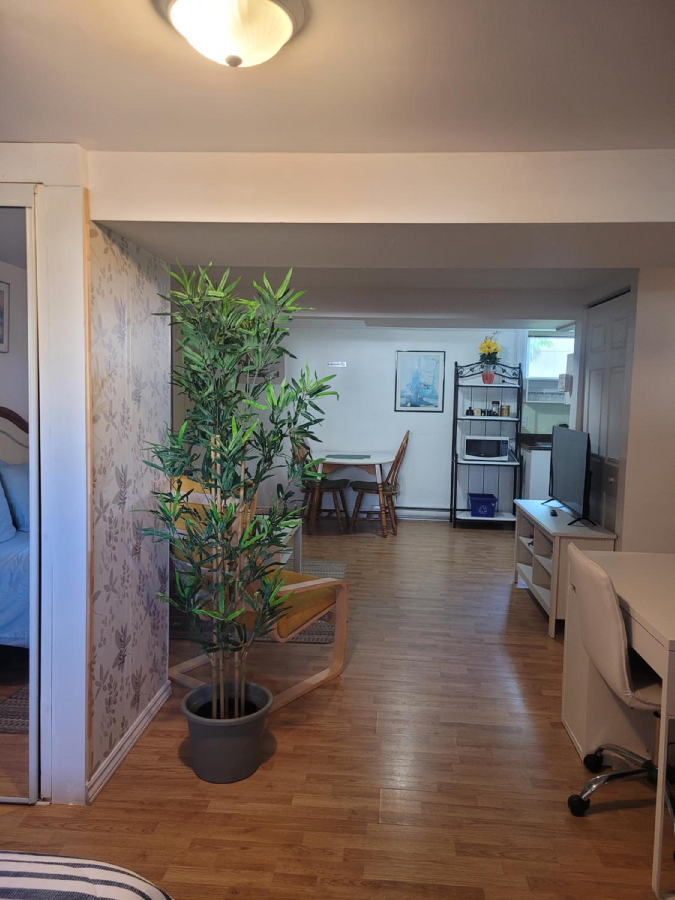 L ' Arlequin Suite et logement