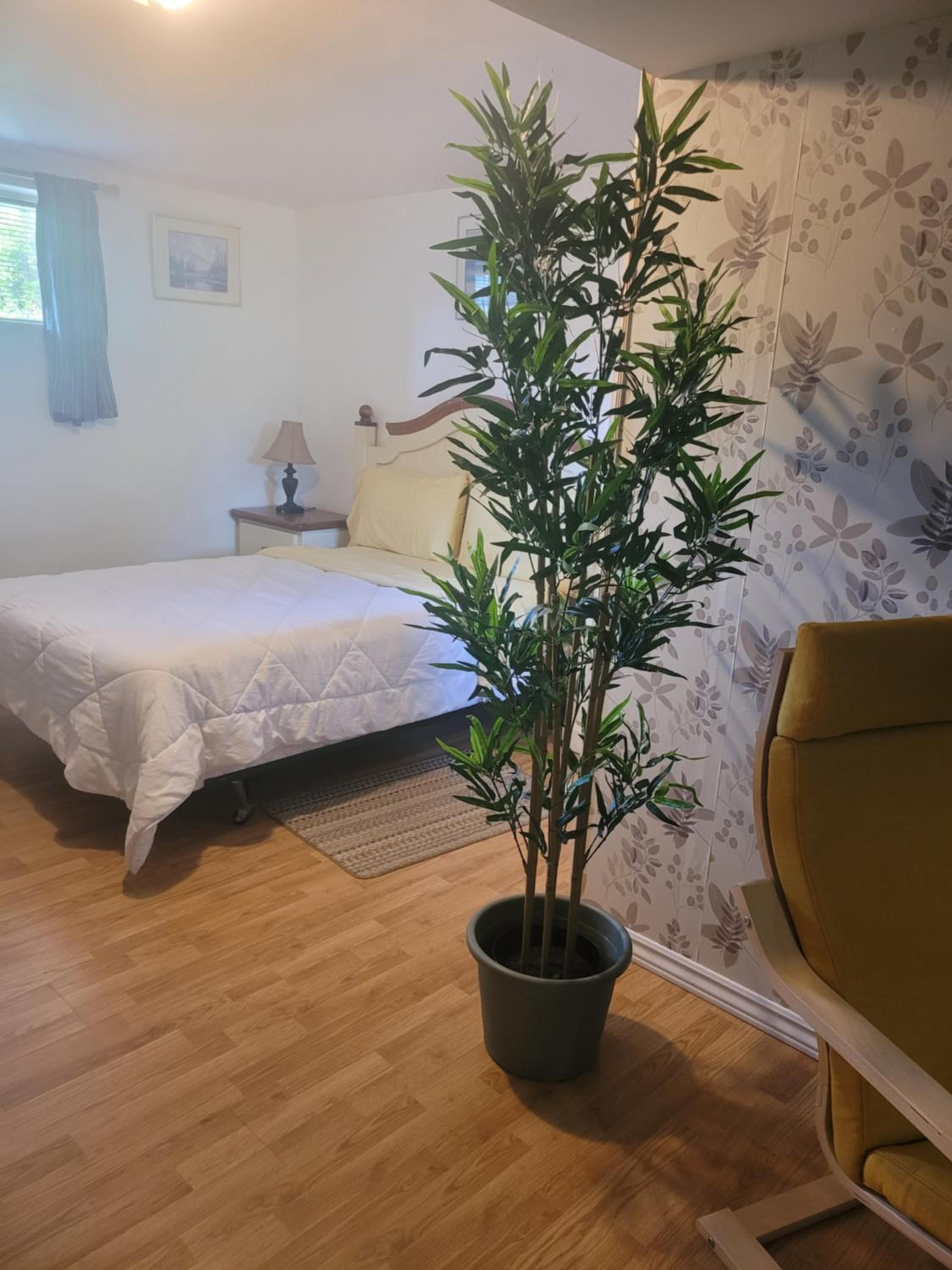 L ' Arlequin Suite et logement