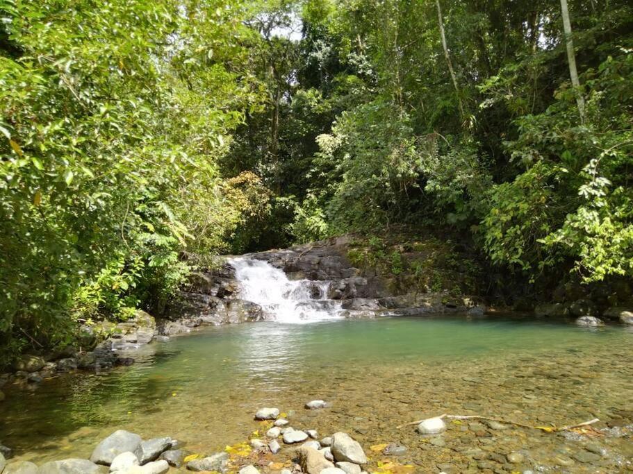 Bamboo Relax Uvita