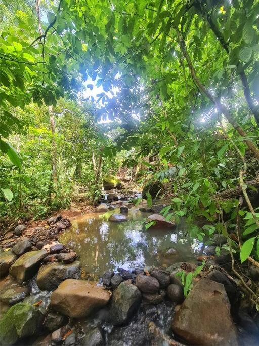 Bamboo Relax Uvita