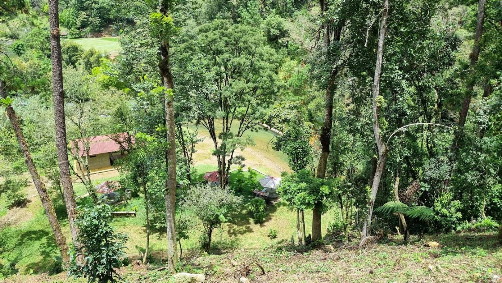 Cabaña Rincón Verde view 3