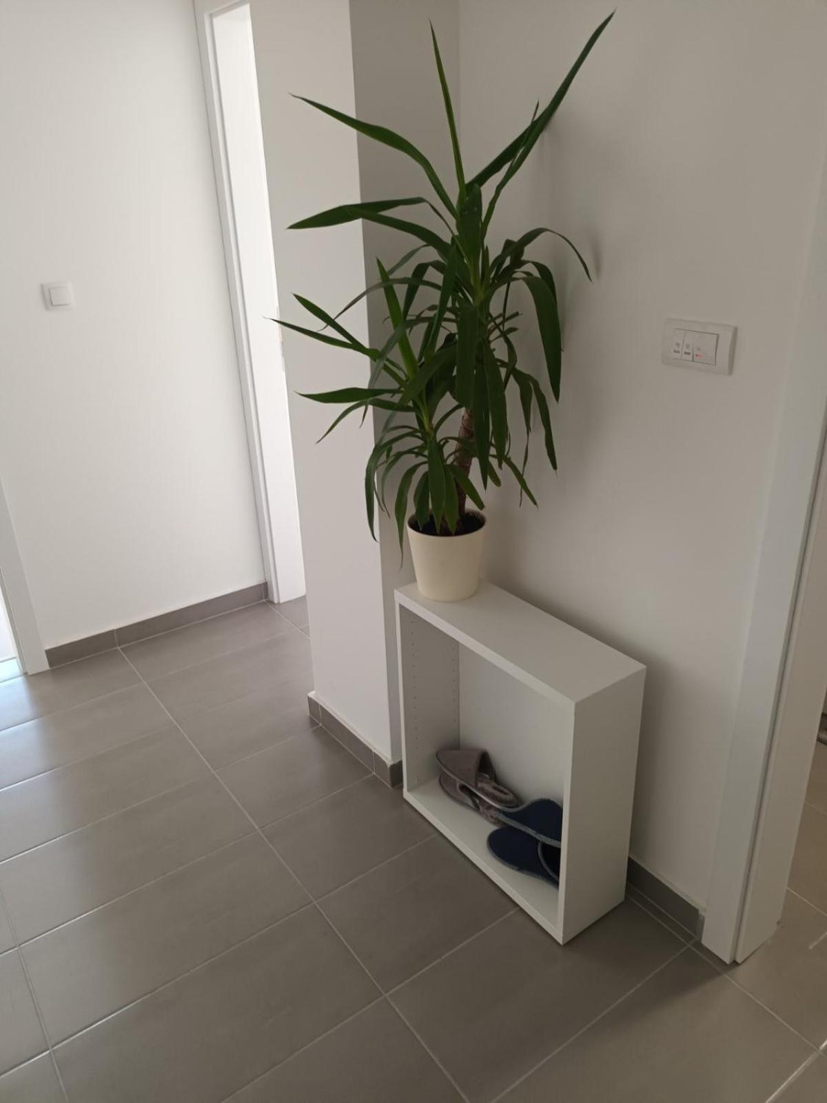 Central City Stay - Apartment Alex view 4