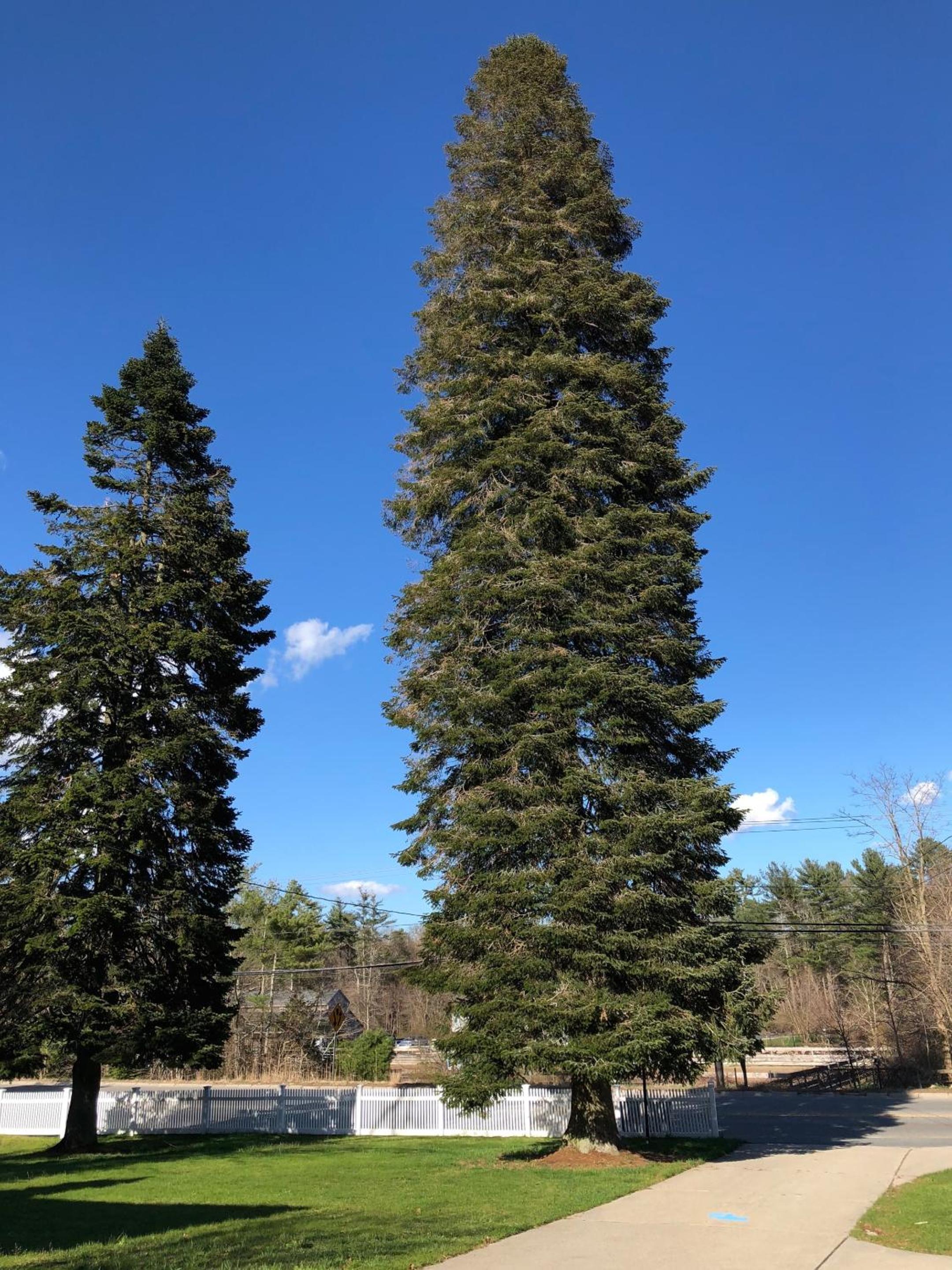 Marion Vacations - Silvershell Inn - Property Image 28