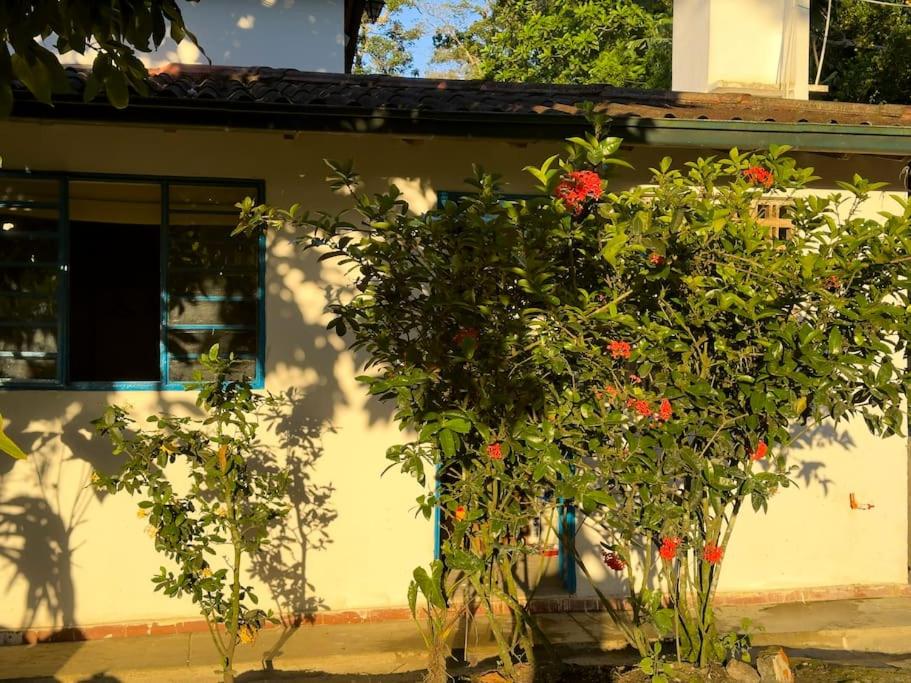 Finca El Pórtico Socorro, Santander