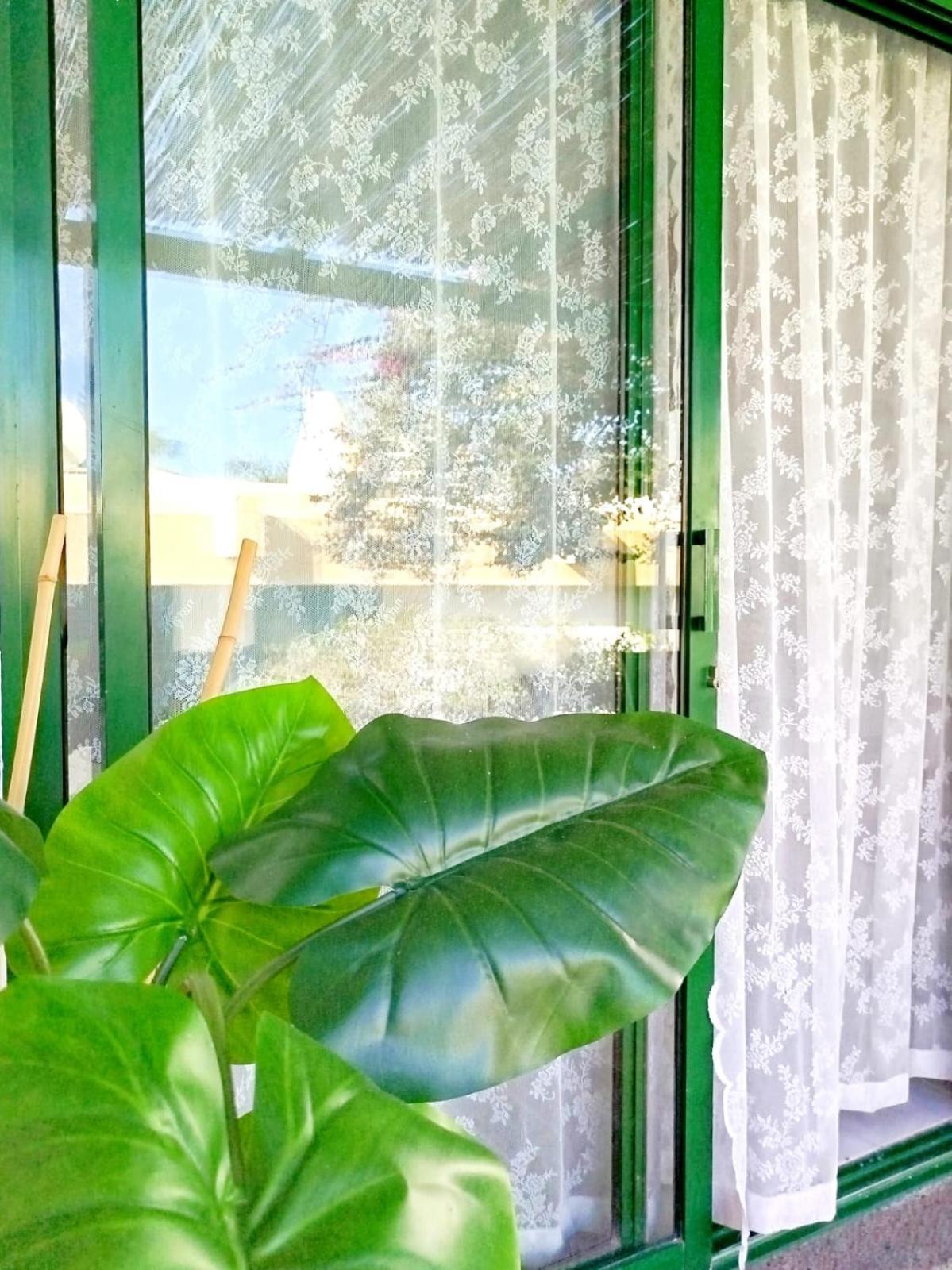 Balcony & Terrace
