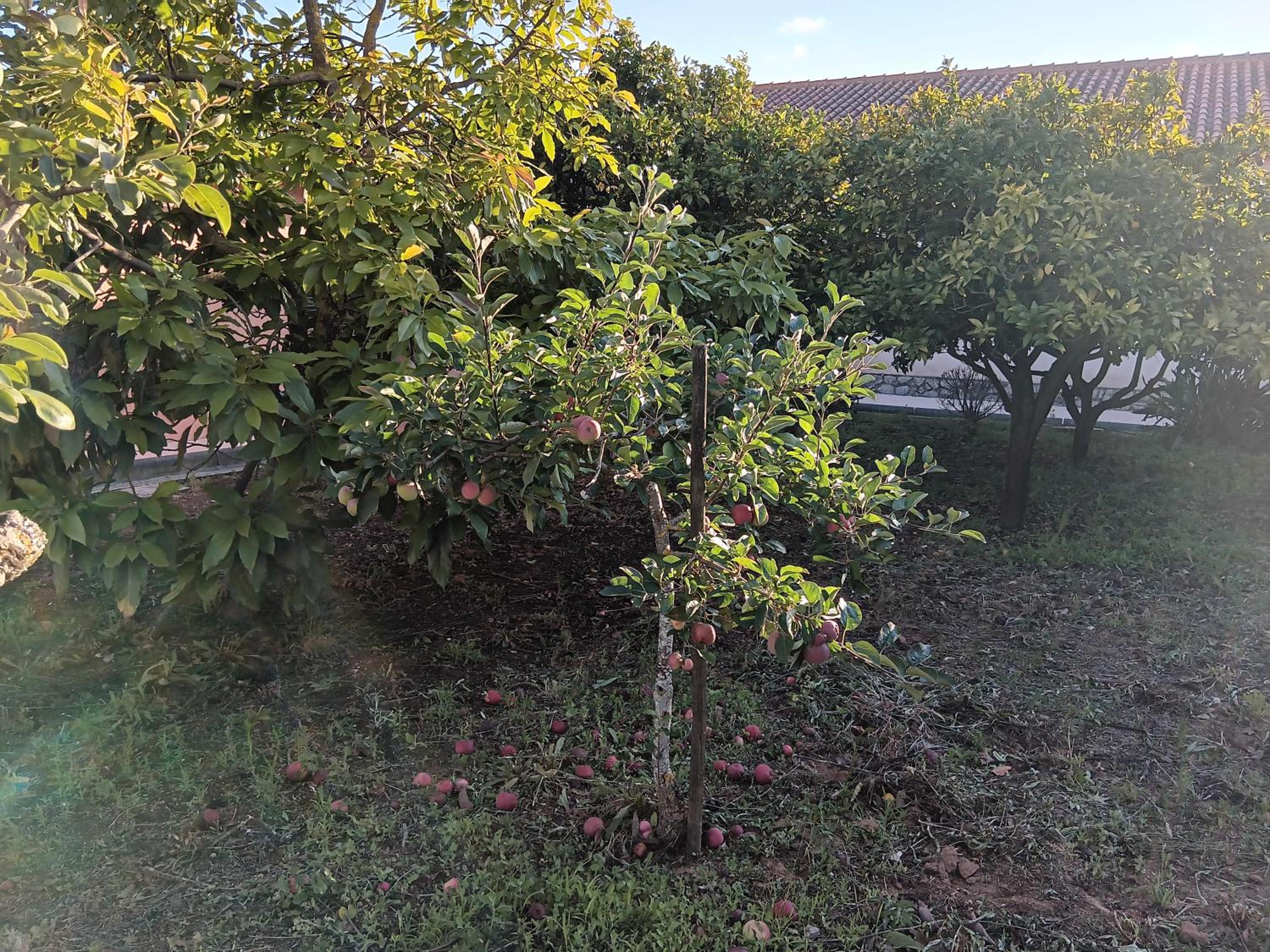 Photo 20