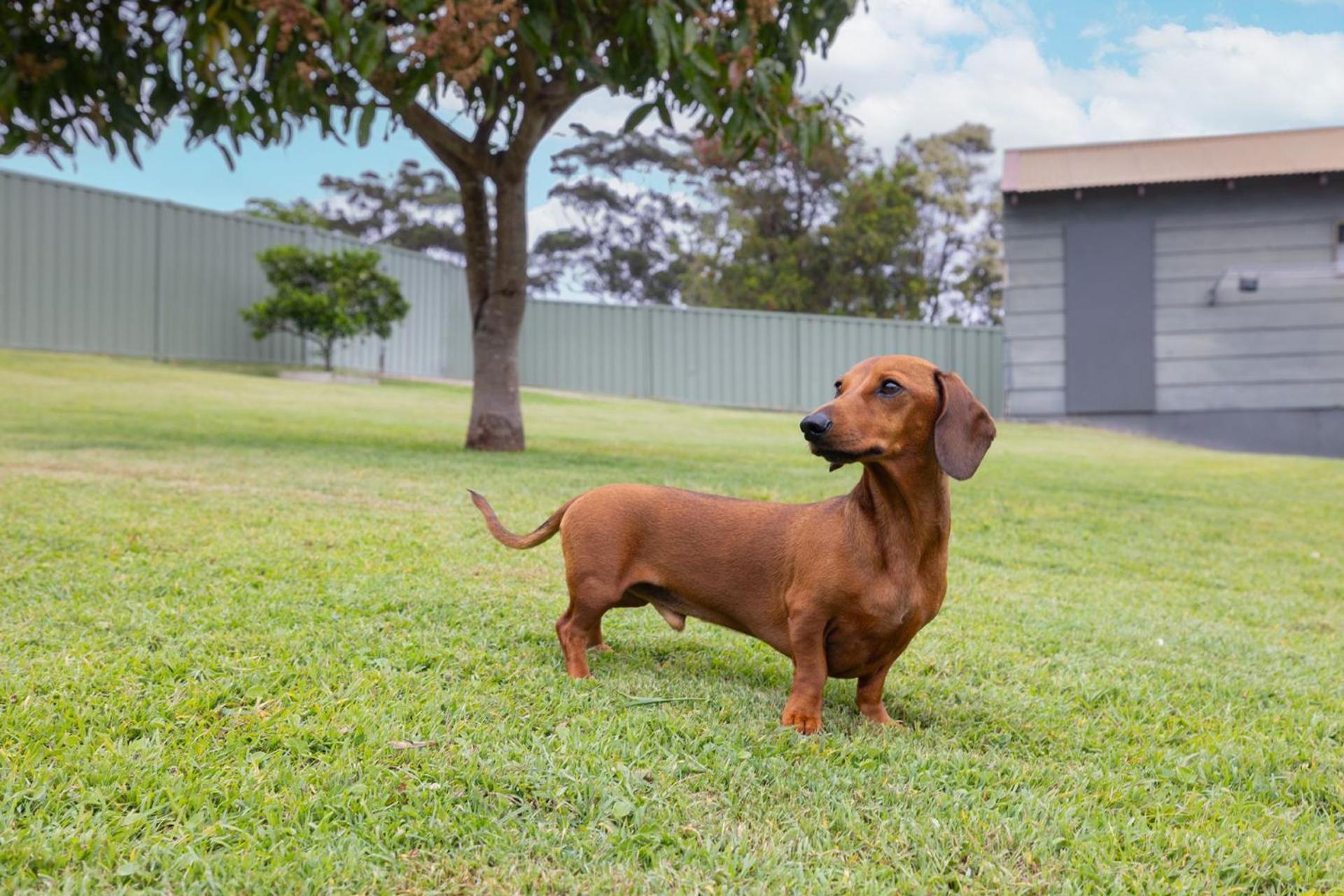 Illaroo House 16 Verona Rd - pet friendly, boat parking, Wi-Fi