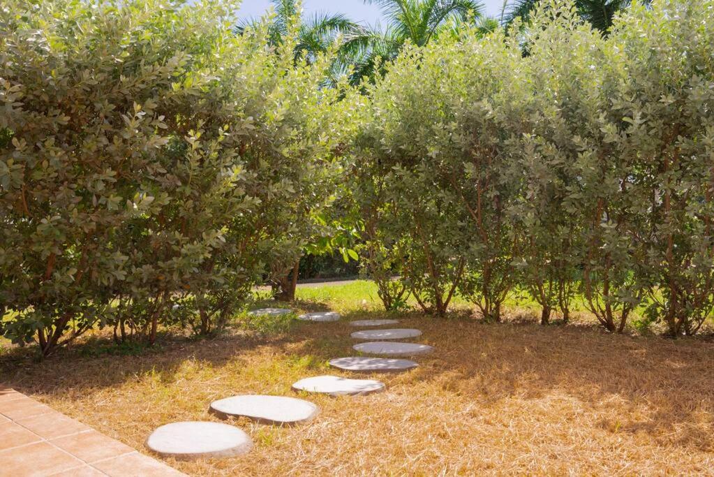 Java Paradise - Tropical retreat - Anse Marcel - Property Image 1