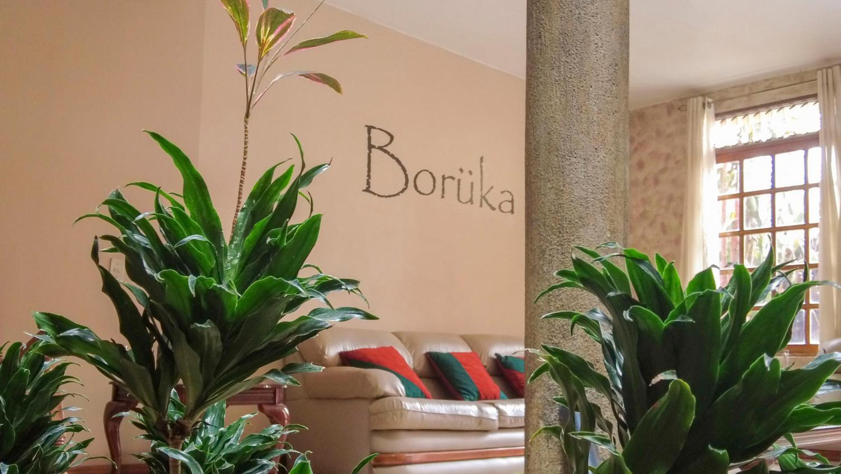 Boruka House