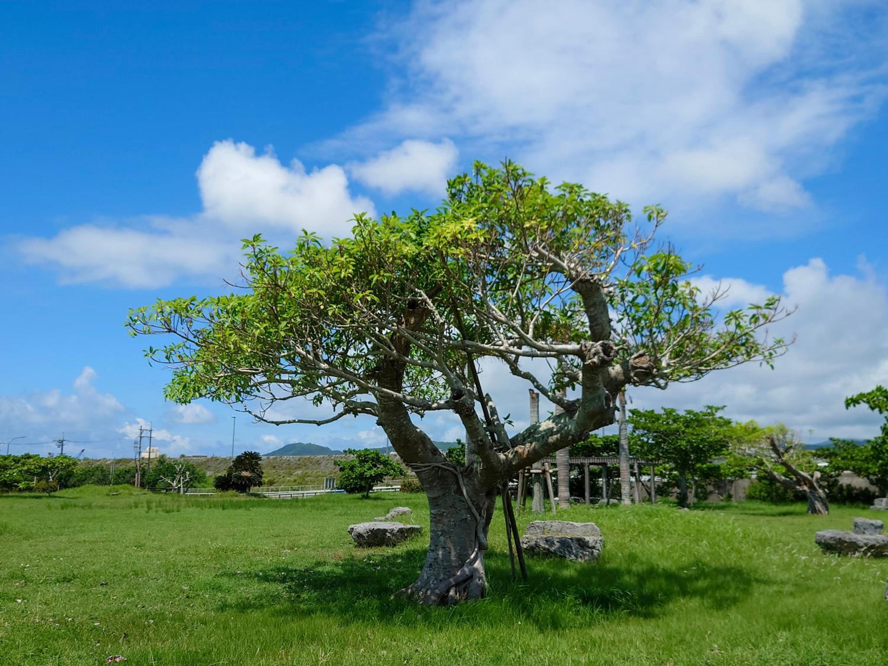 Sunzhotels ishigaki