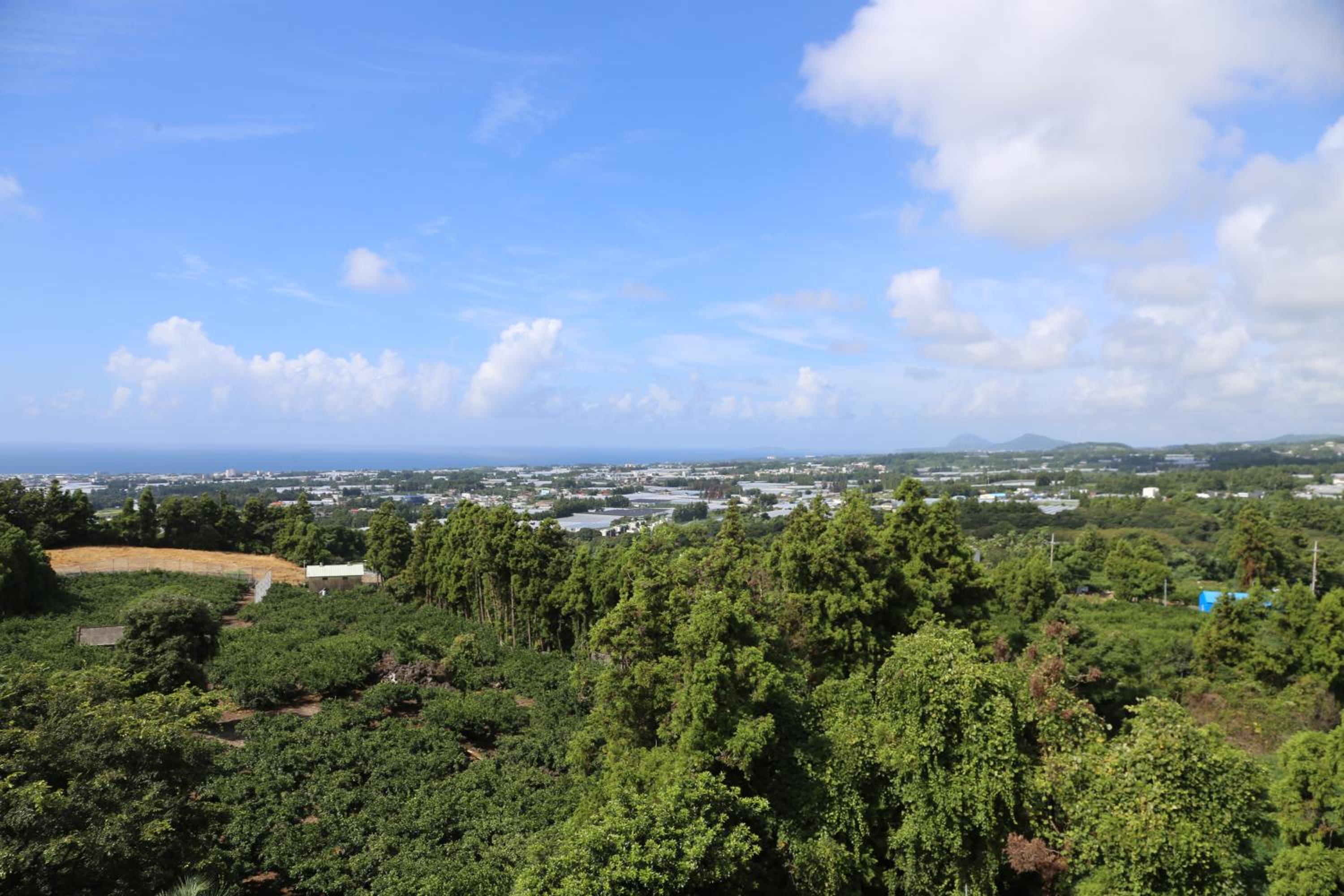 Jeju M Resort