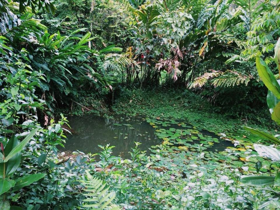 Albergue de Montaña Talari view 5