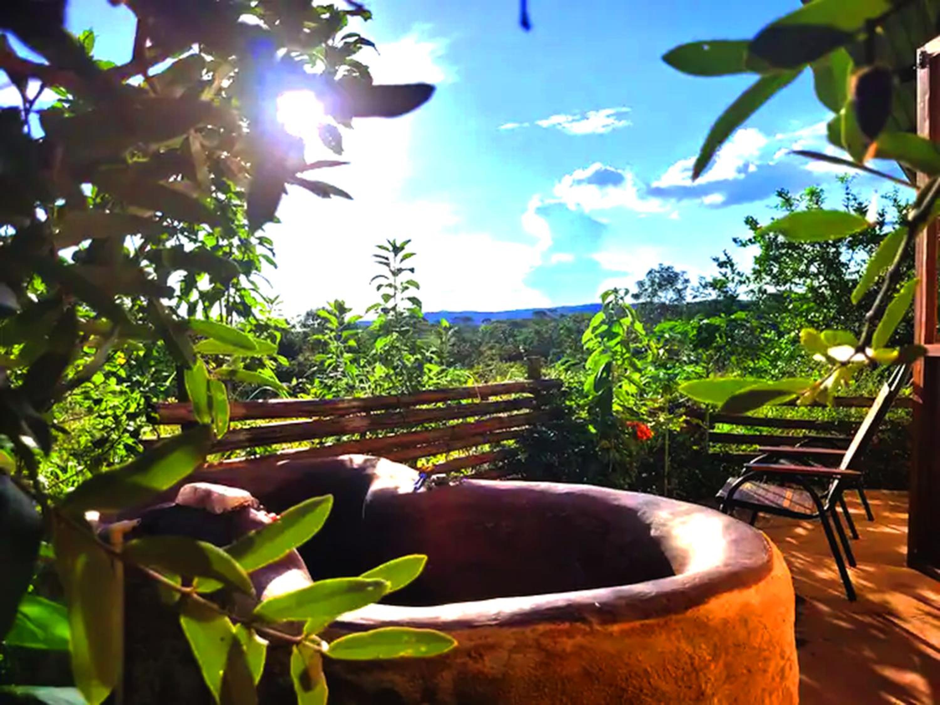 BioChalé Buena Vista