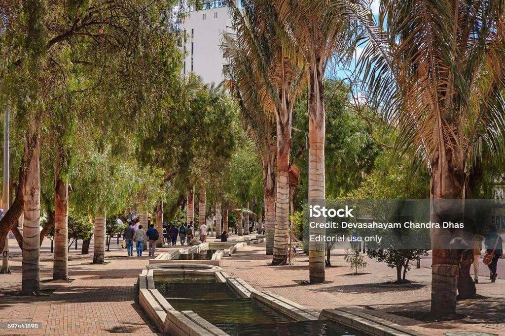 Hermoso y acogedor apto piso 32 para estrenar