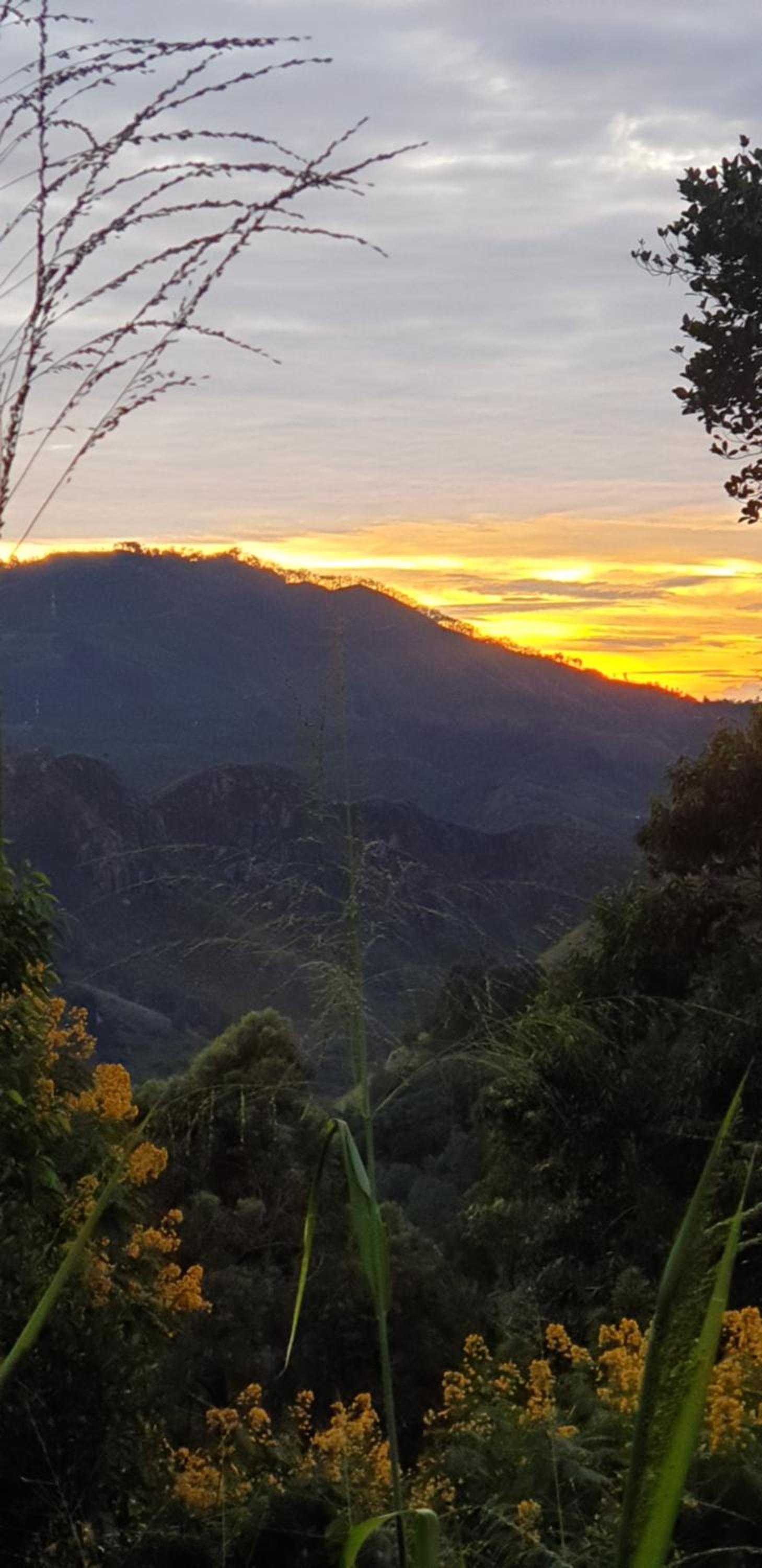 Himansa Homestay
