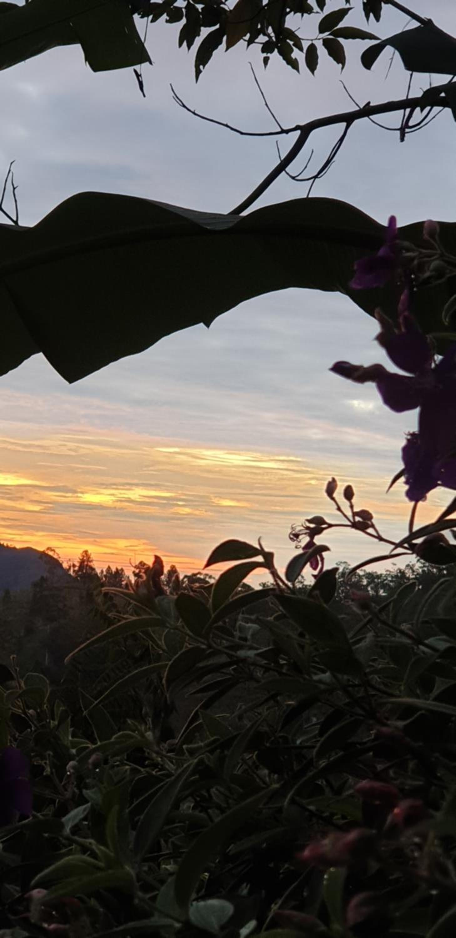 Himansa Homestay