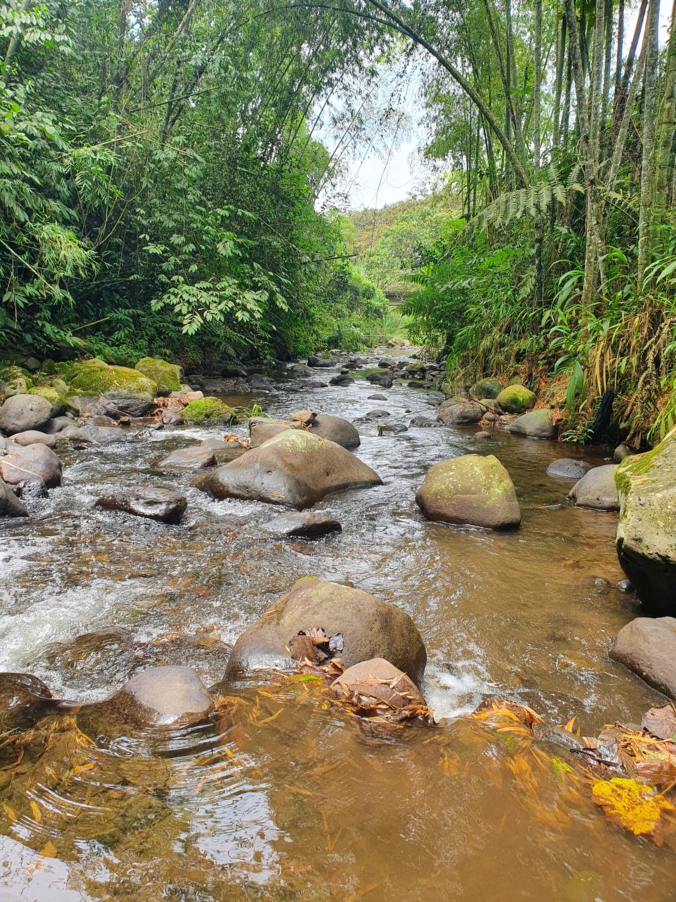El paraíso