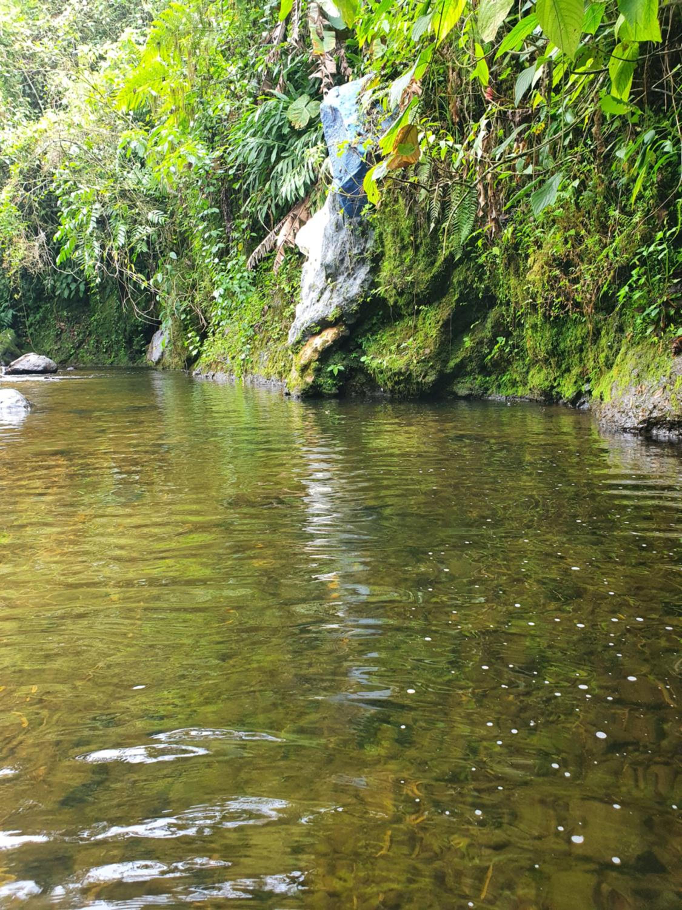El paraíso