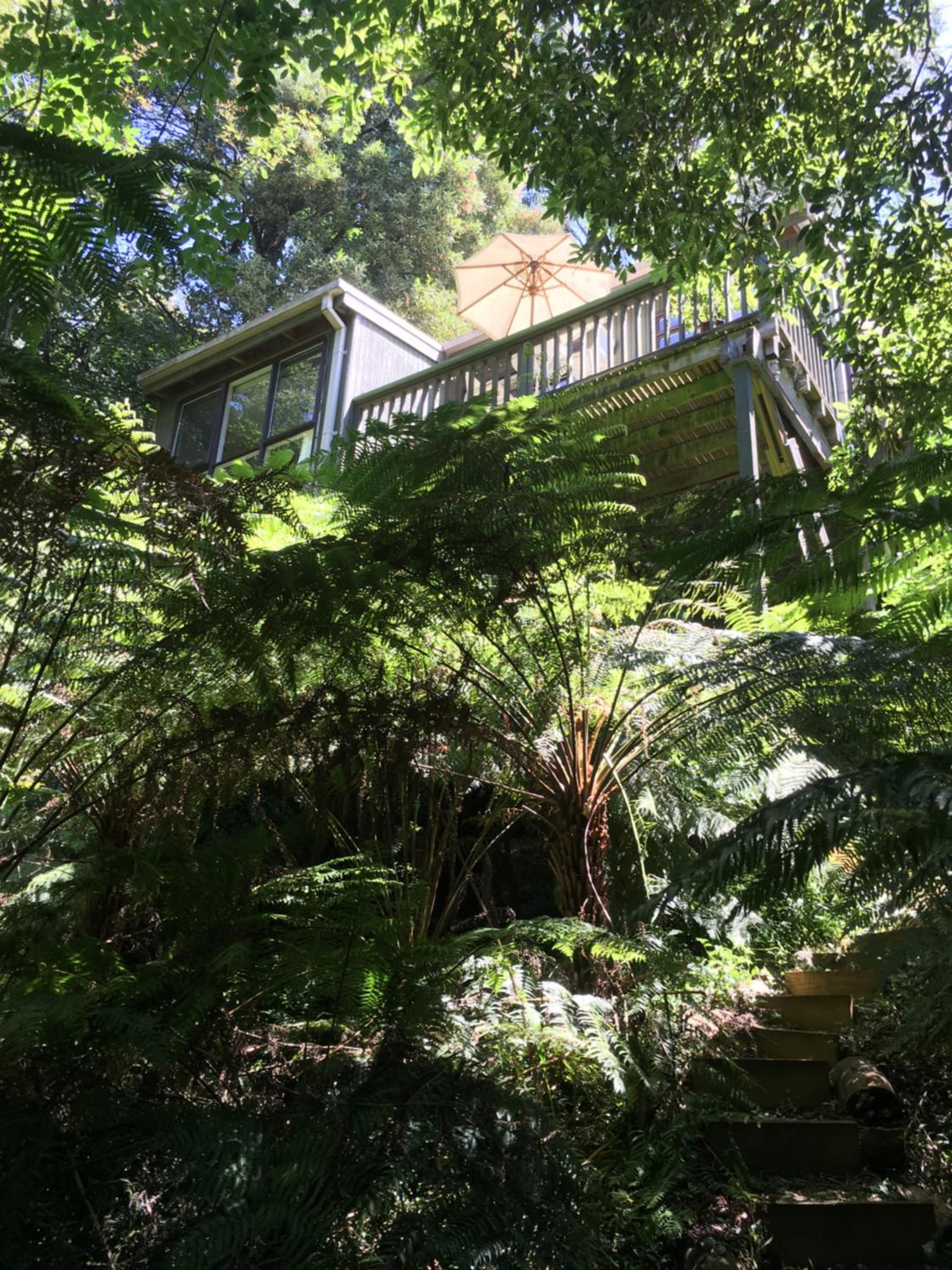 Sassafras Treehouse Private home in the Dandenong Ranges, Victoria