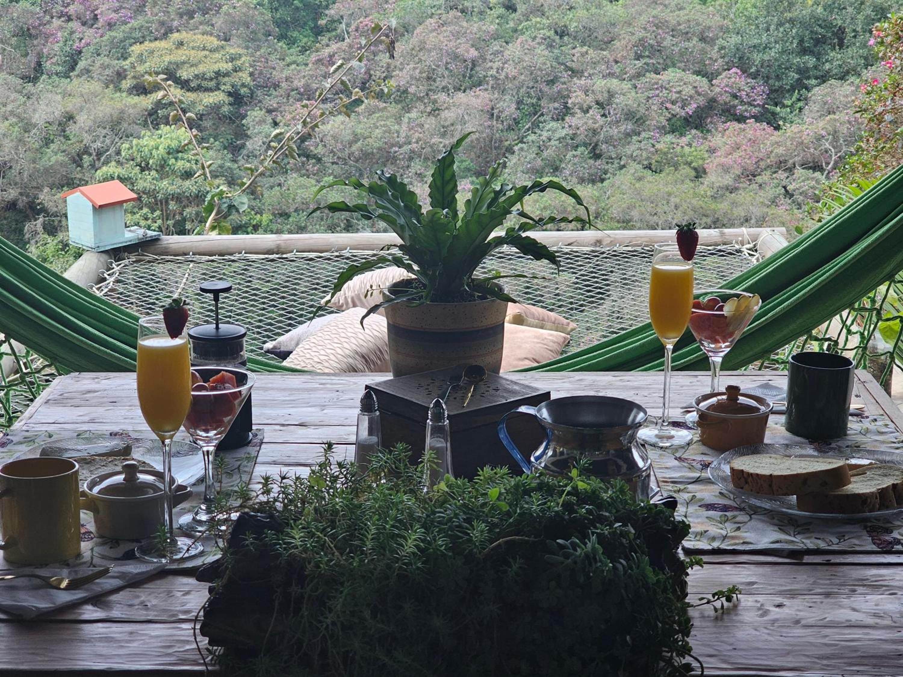 FINCA HOTEL ZONA SIETE en Rionegro