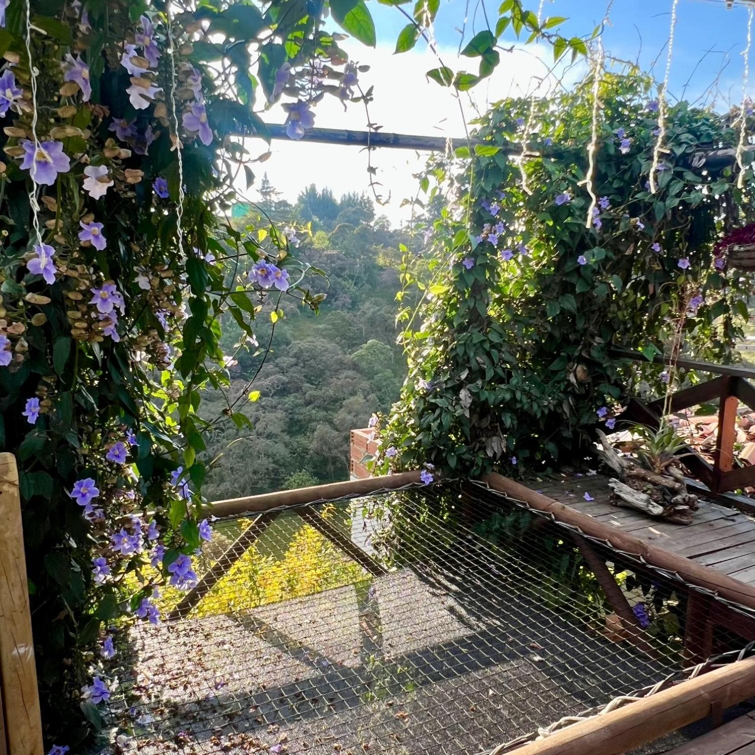 FINCA HOTEL ZONA SIETE en Rionegro