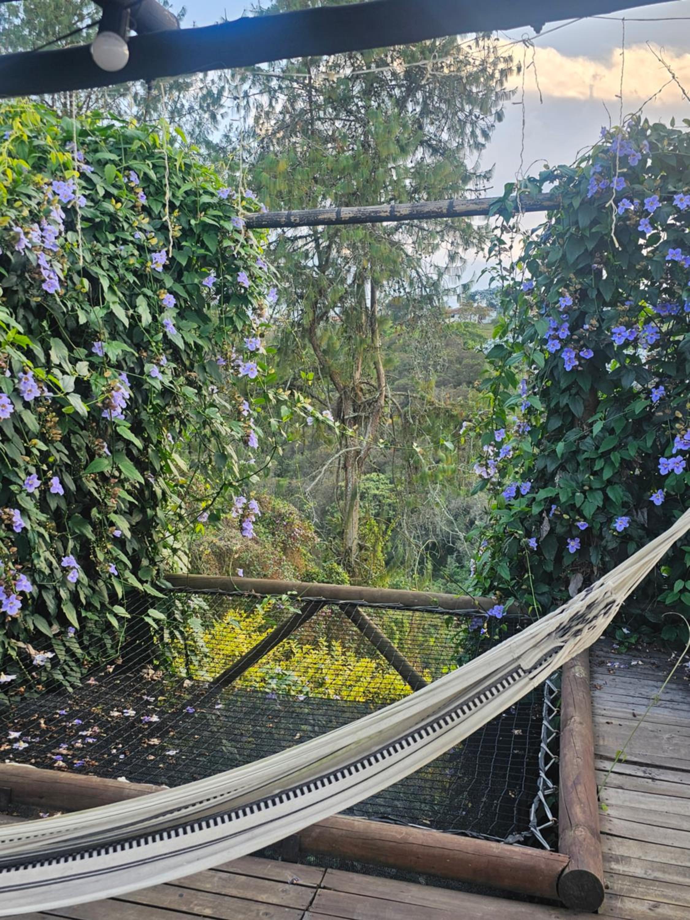 FINCA HOTEL ZONA SIETE en Rionegro