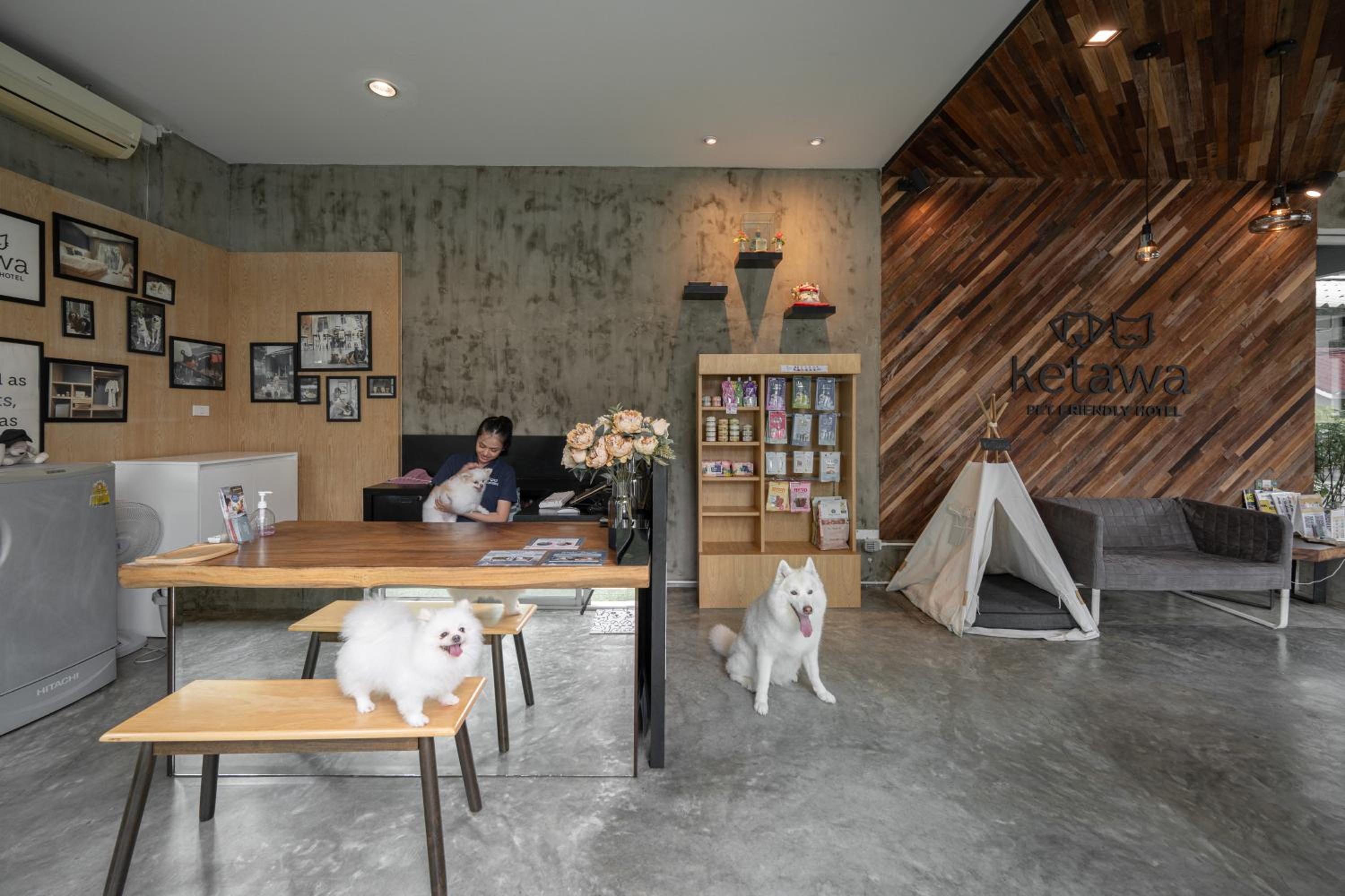 Ketawa Pet Friendly Hotel