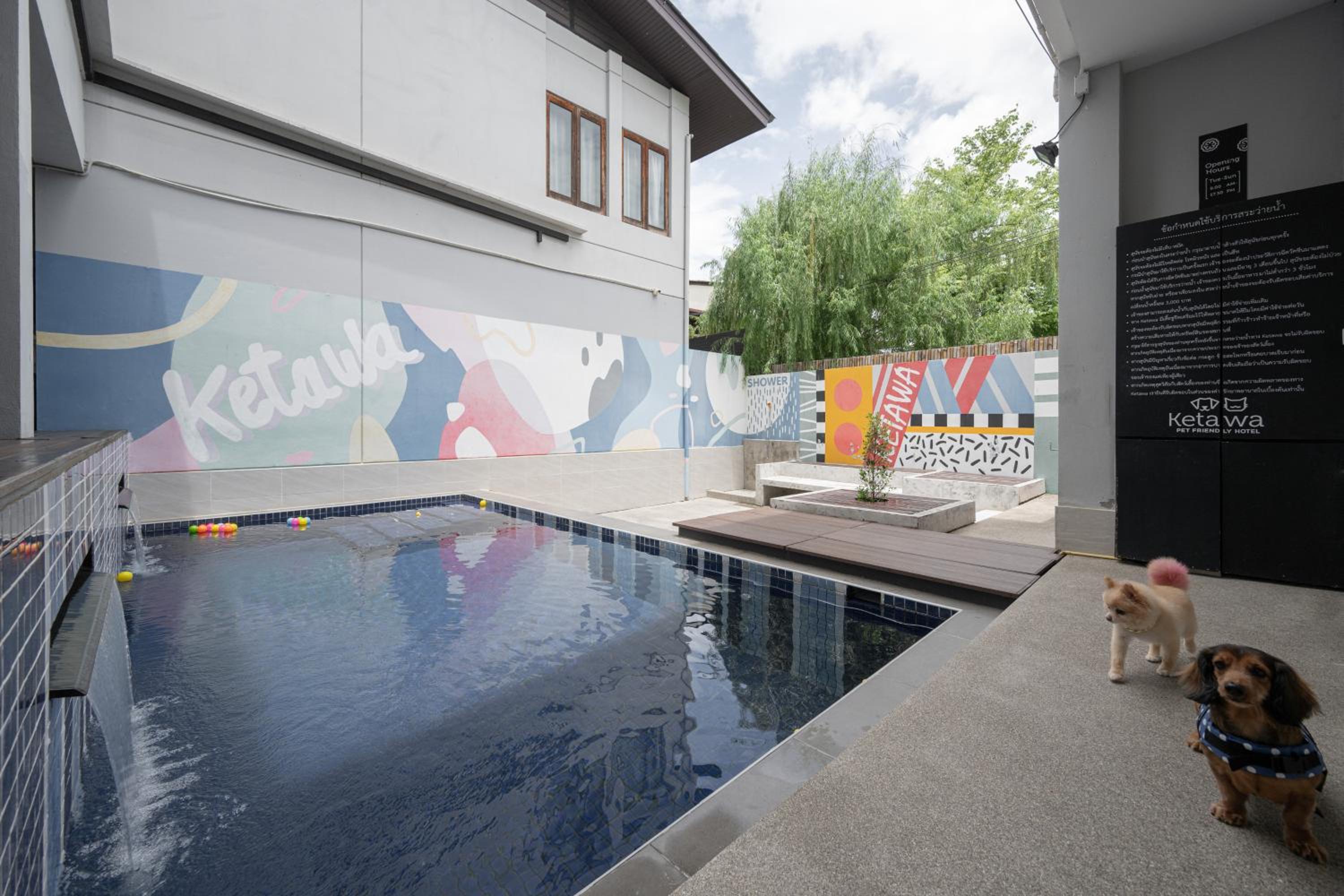 Ketawa Pet Friendly Hotel