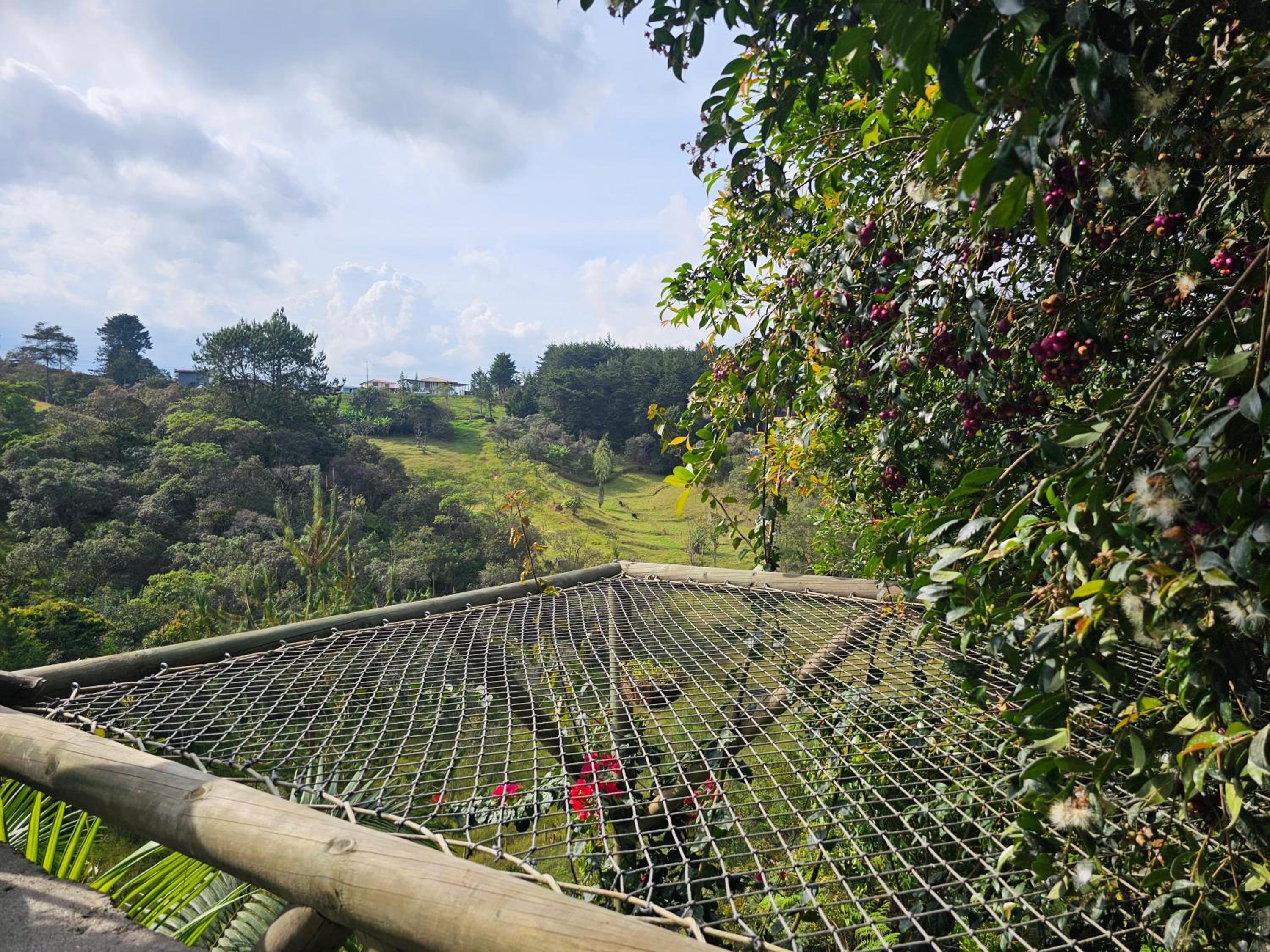 FINCA HOTEL ZONA SIETE en Rionegro