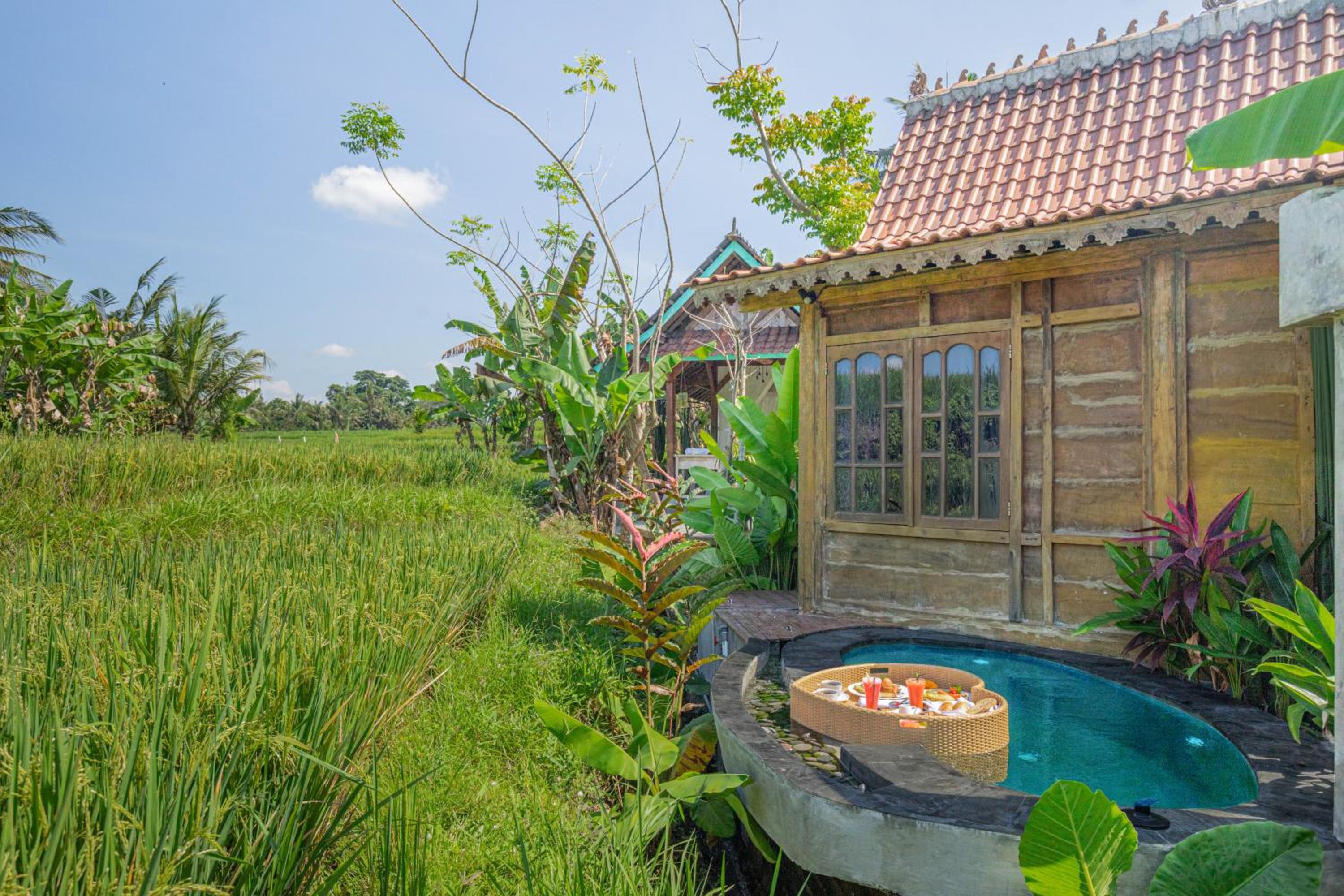 Abian Ubud View view 2