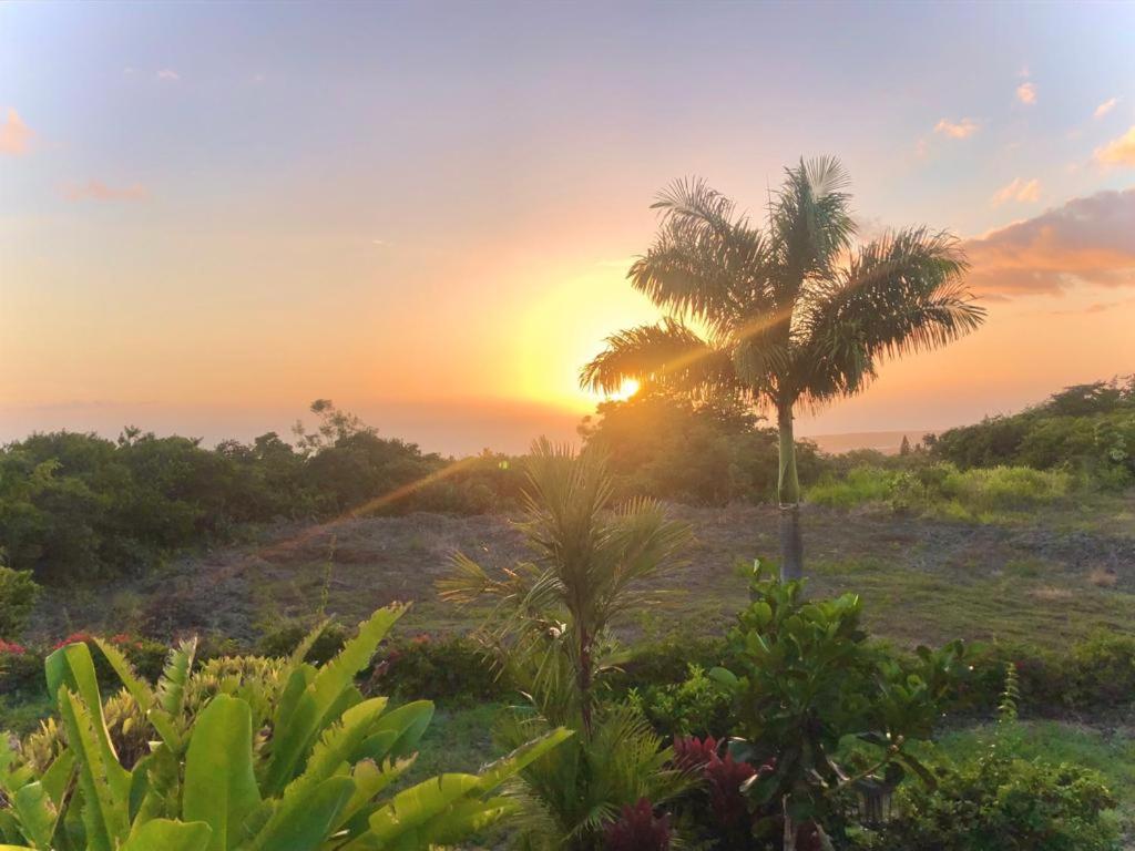 Central Oceanview Modern Cozy 3 Bed House view 4