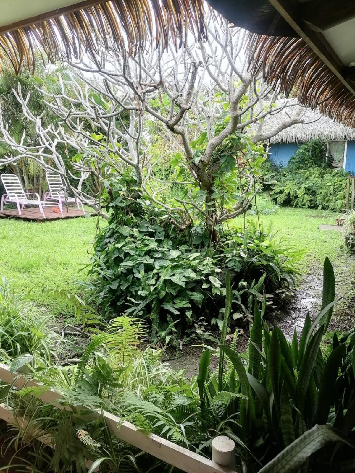 Hare Henua B&B