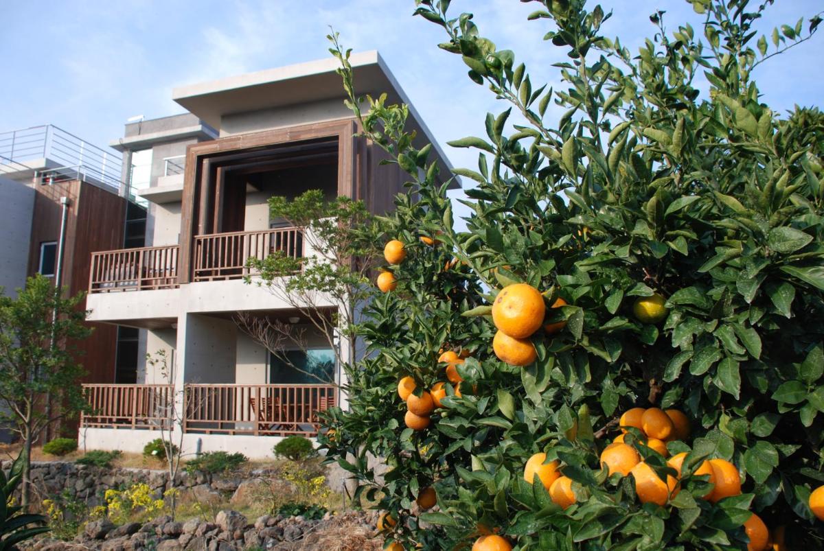 Jeju Eco Suites view 5