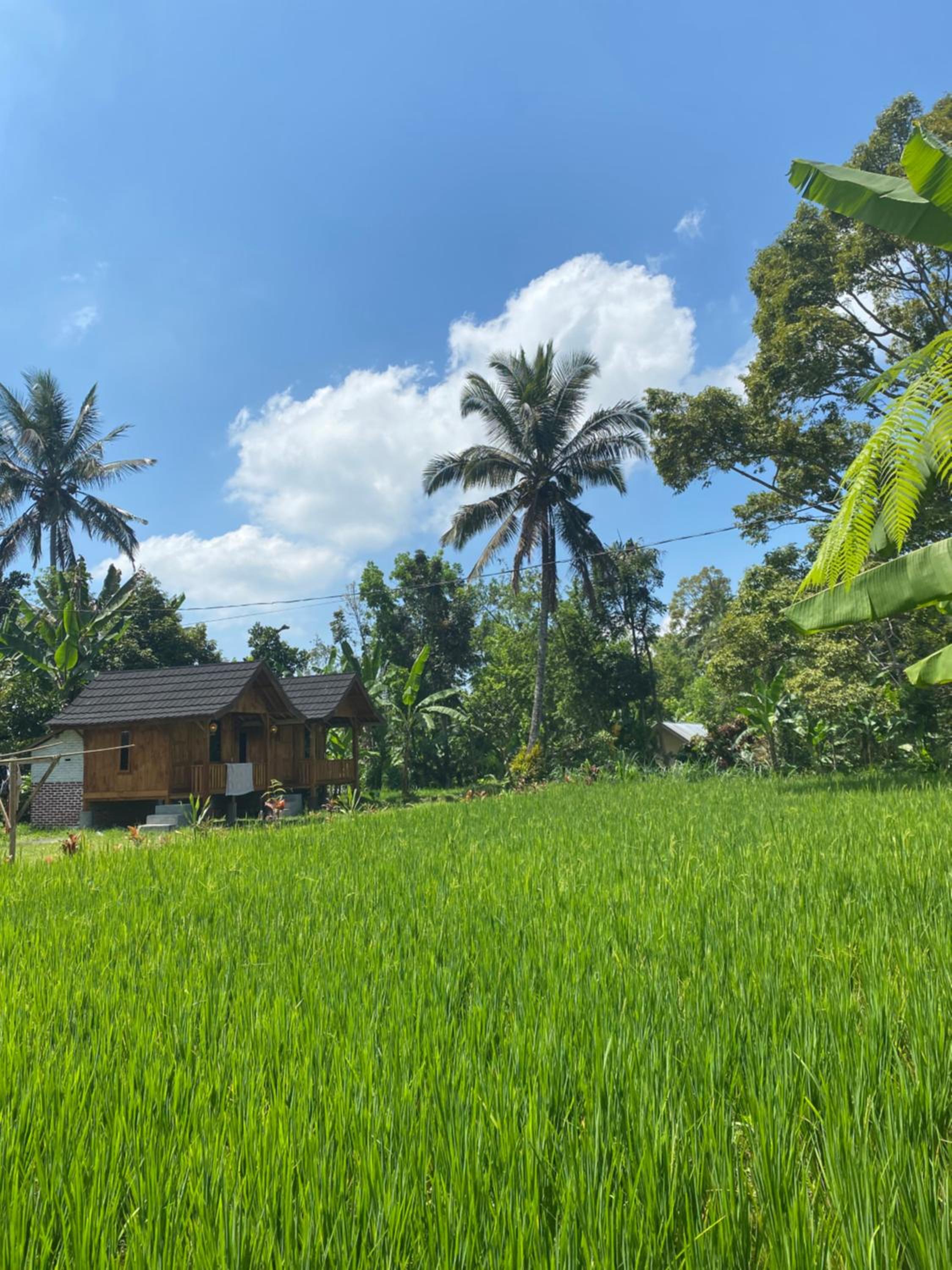 Galang Bungalow