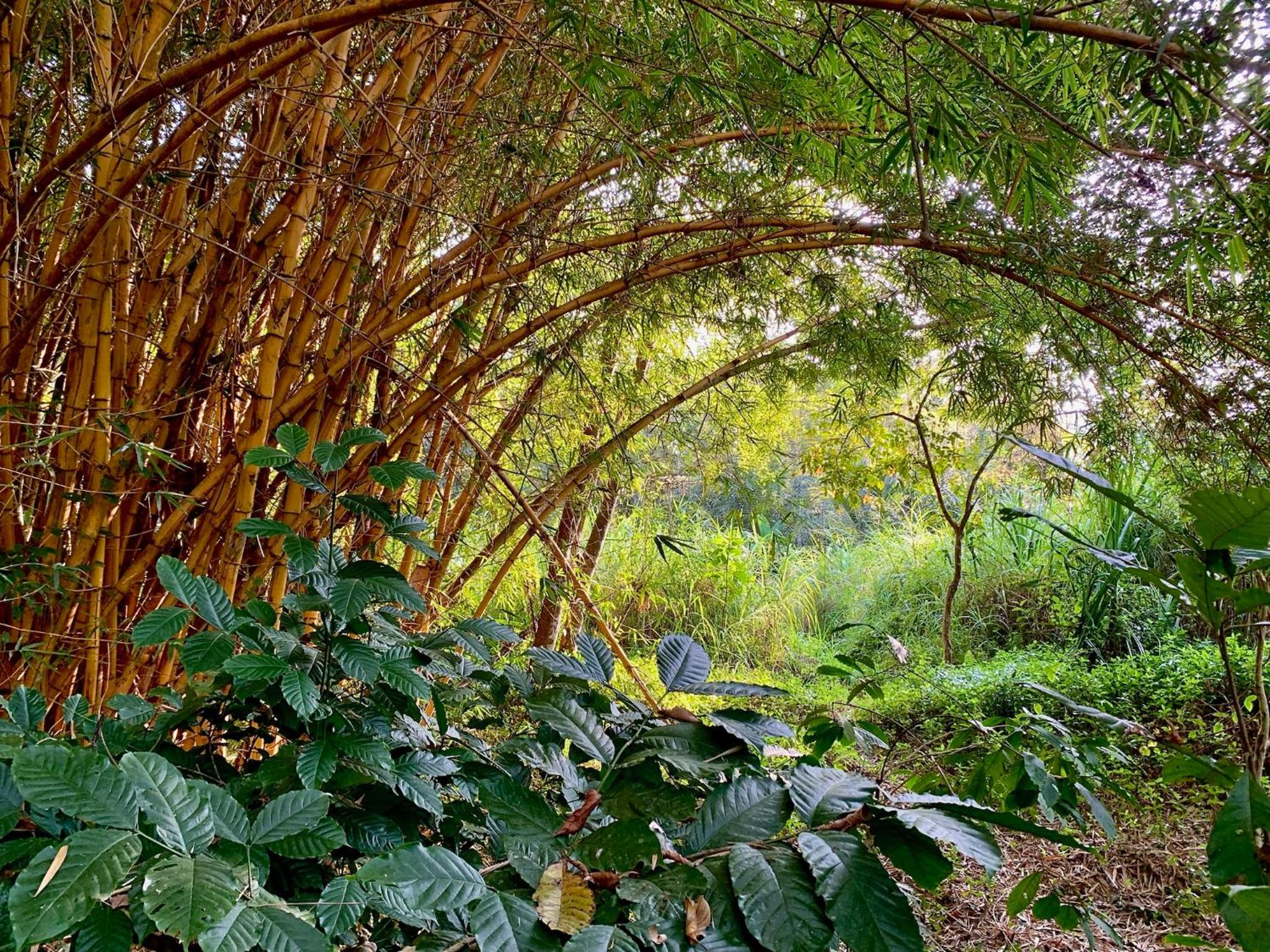Cuppa Creek Homestay